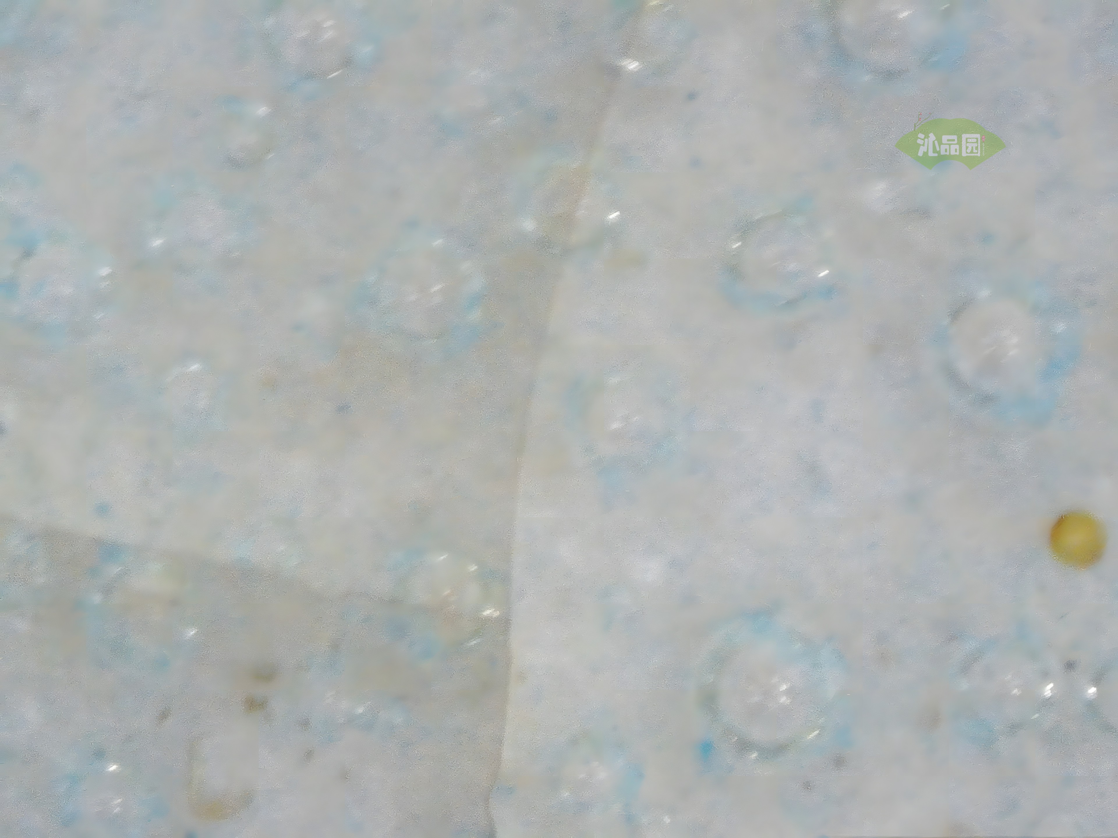 CHD00173.JPG