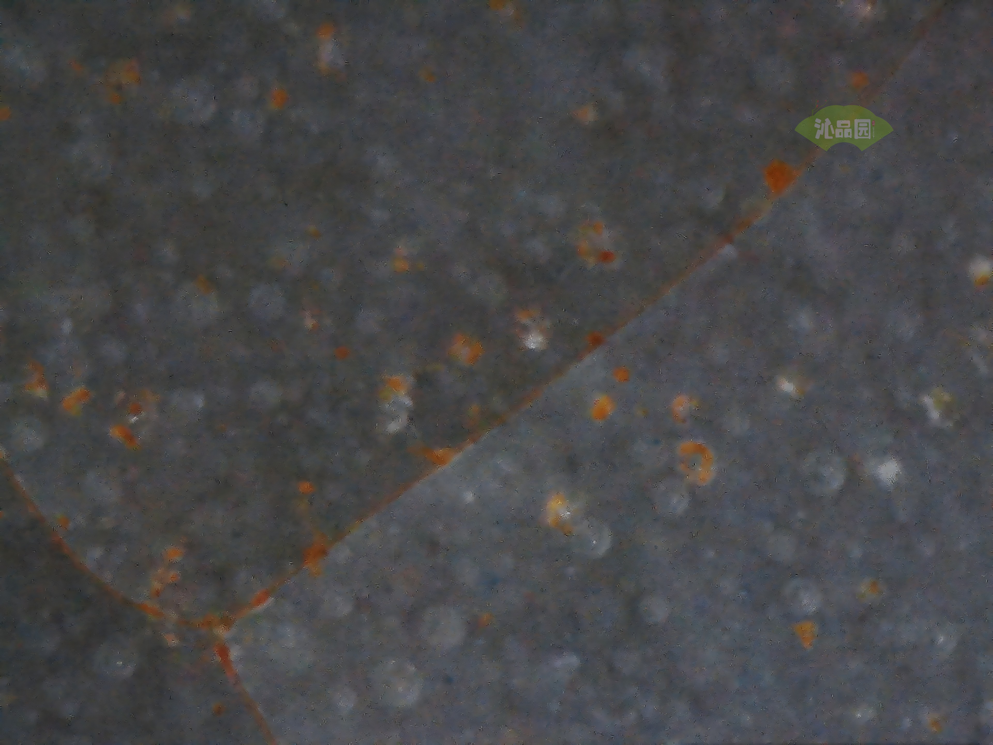 CHD00696.JPG