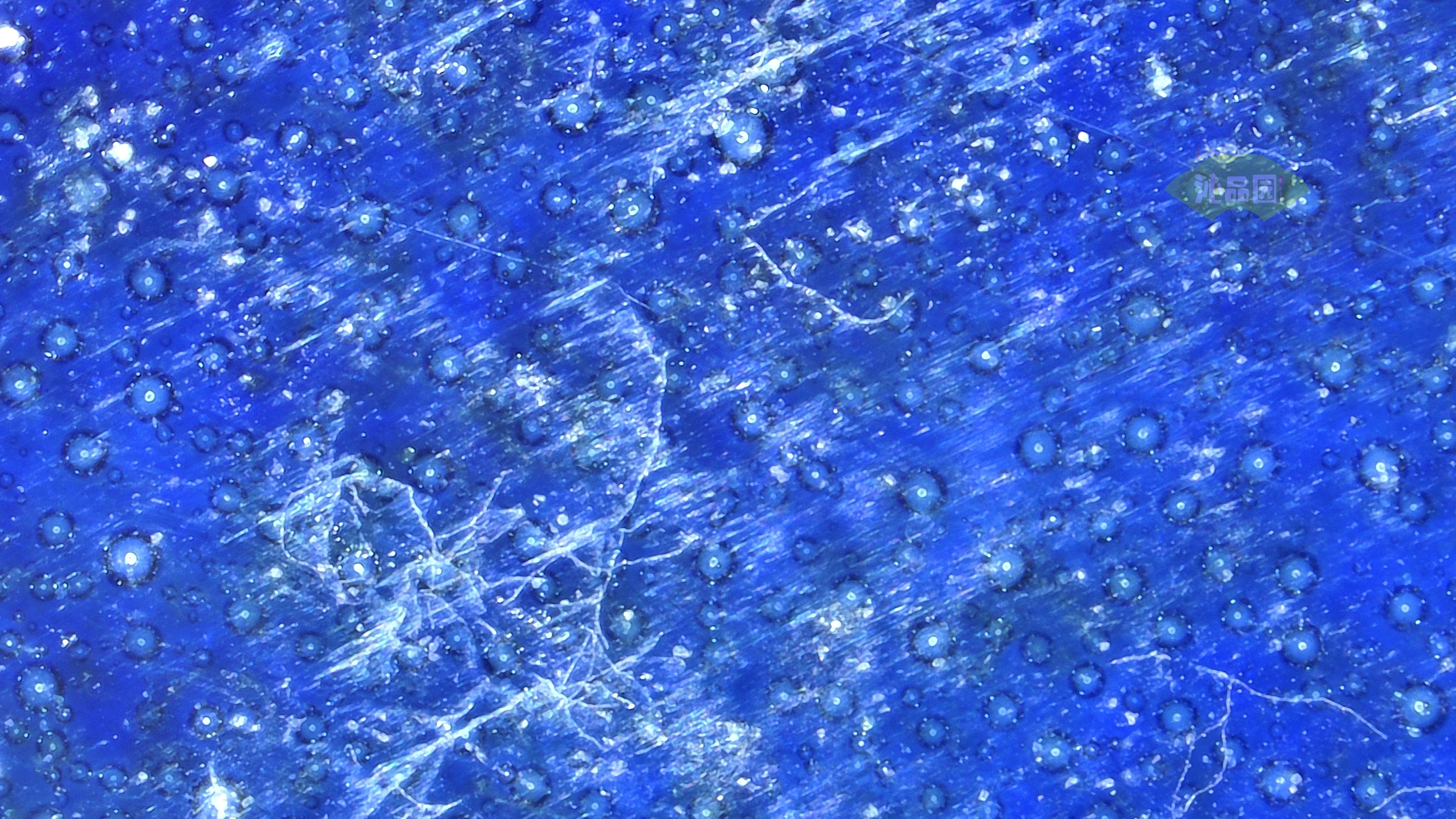 0501.jpg