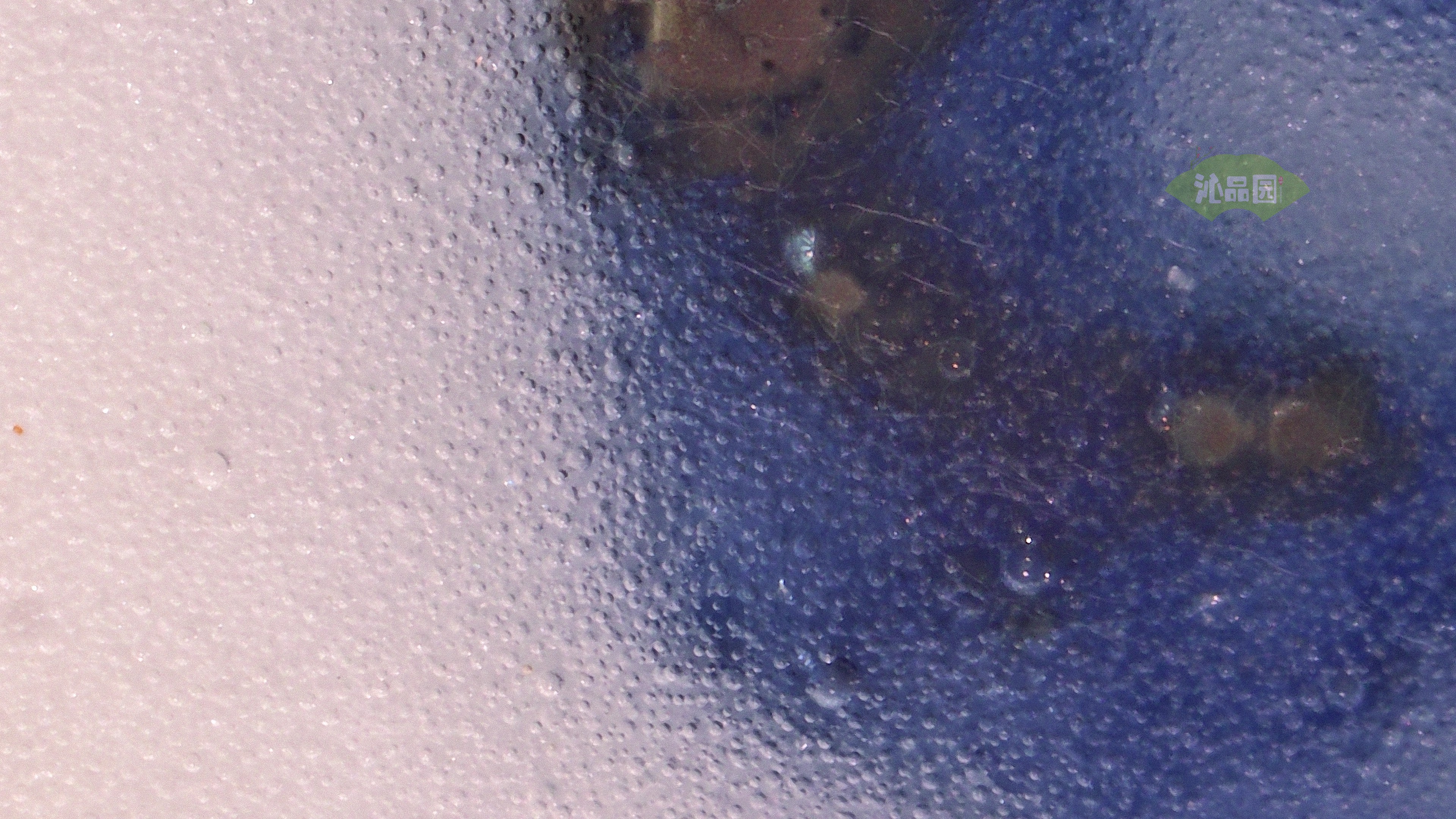0640.jpg
