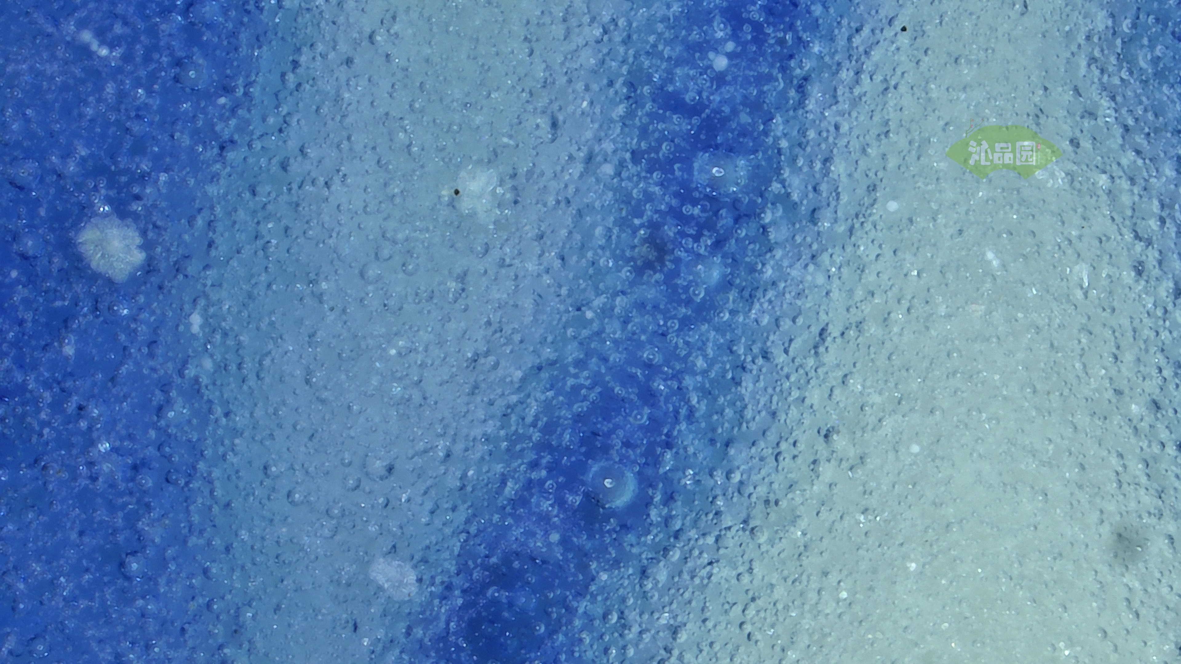 0460.jpg