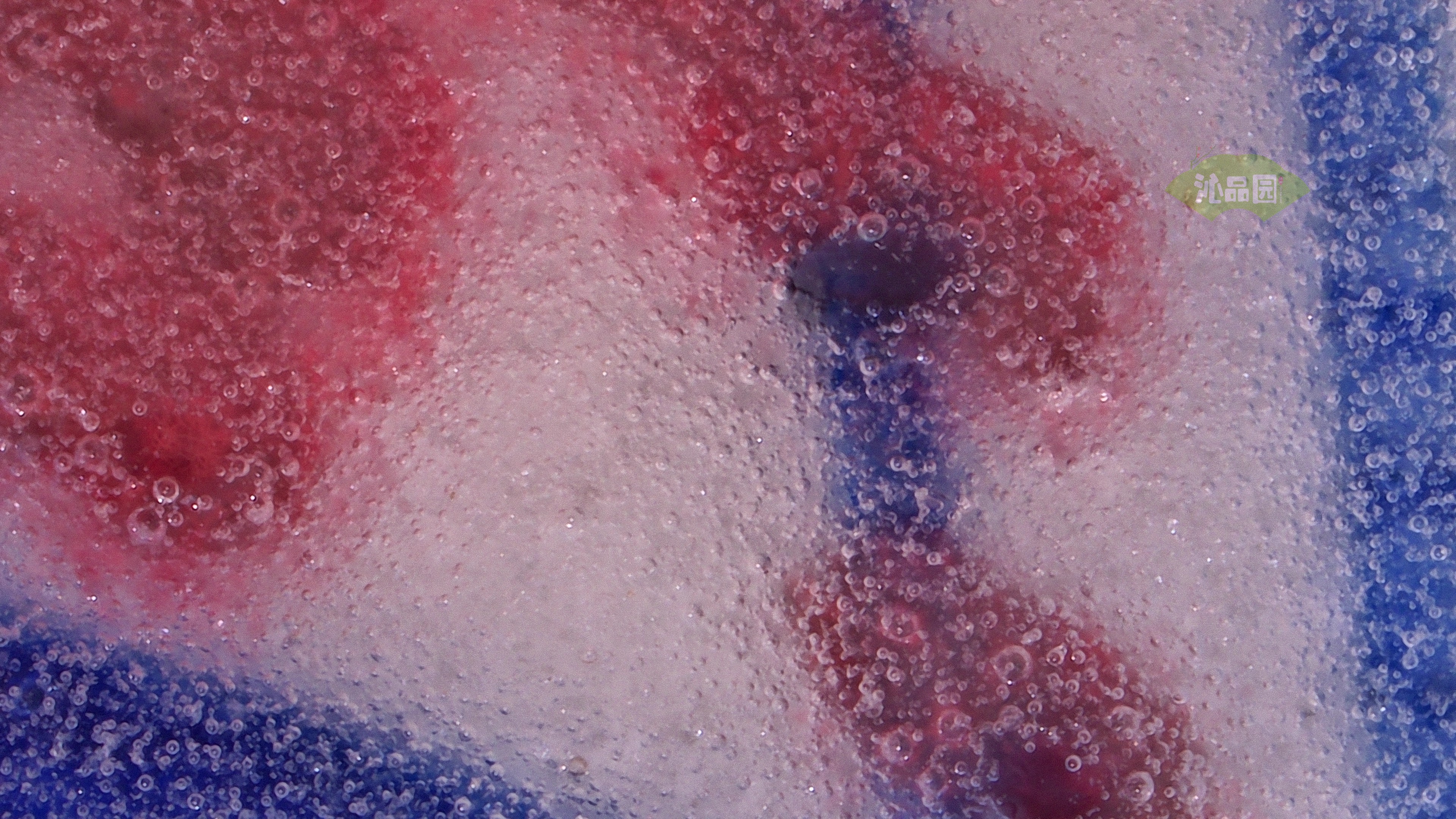 0069.jpg