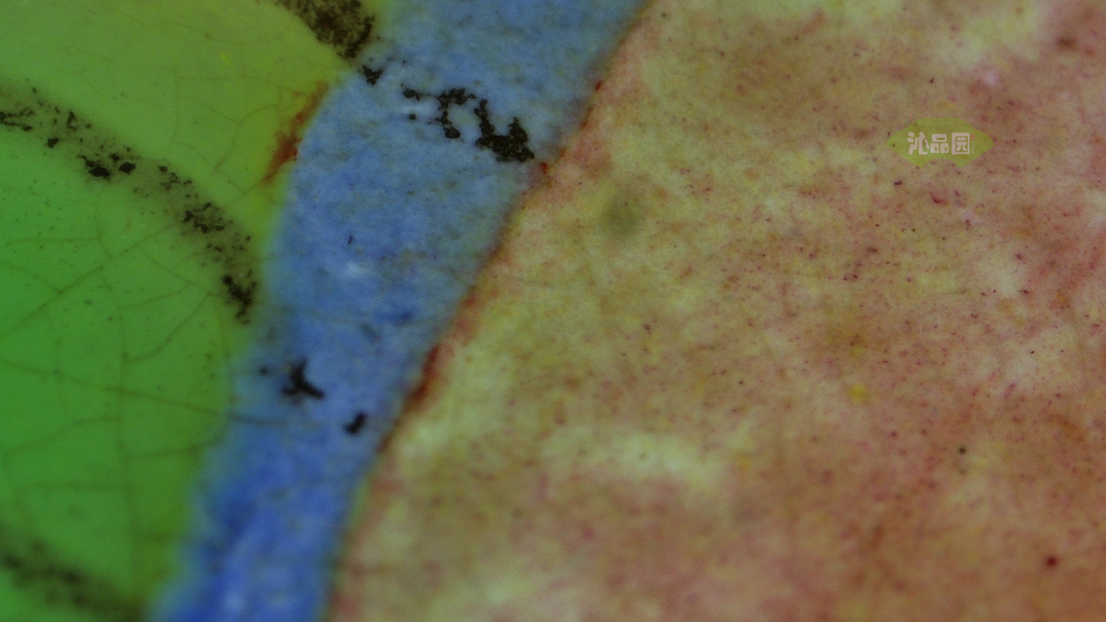 0409.jpg