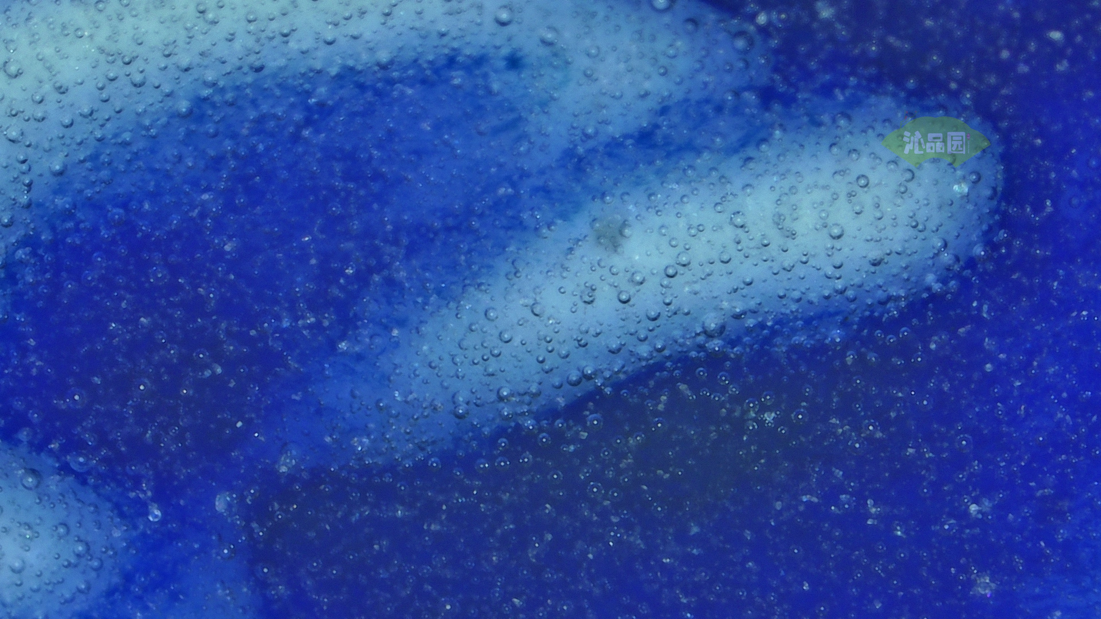 0040.jpg