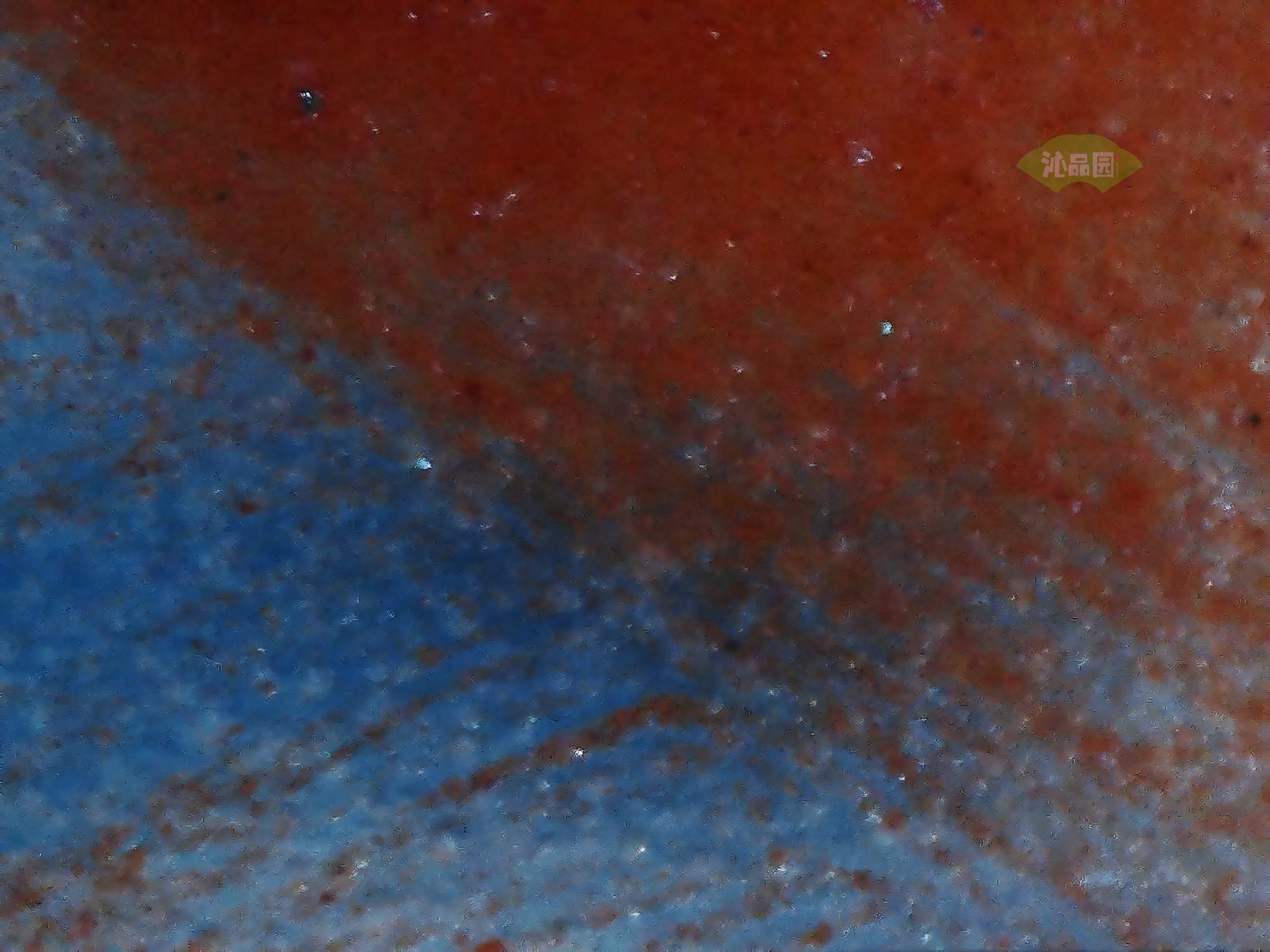CHD00676.JPG