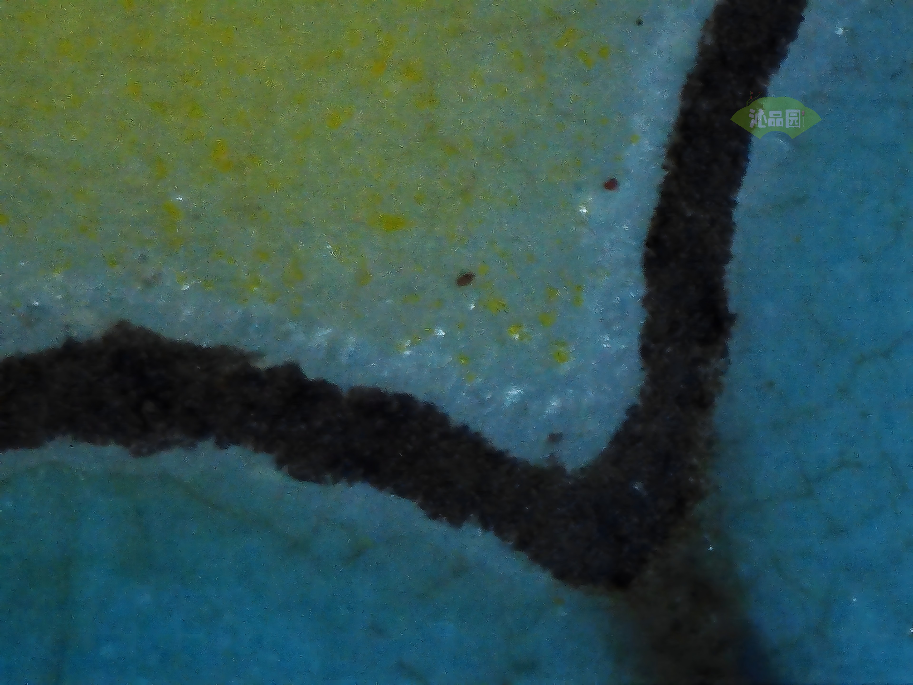 CHD00505.JPG
