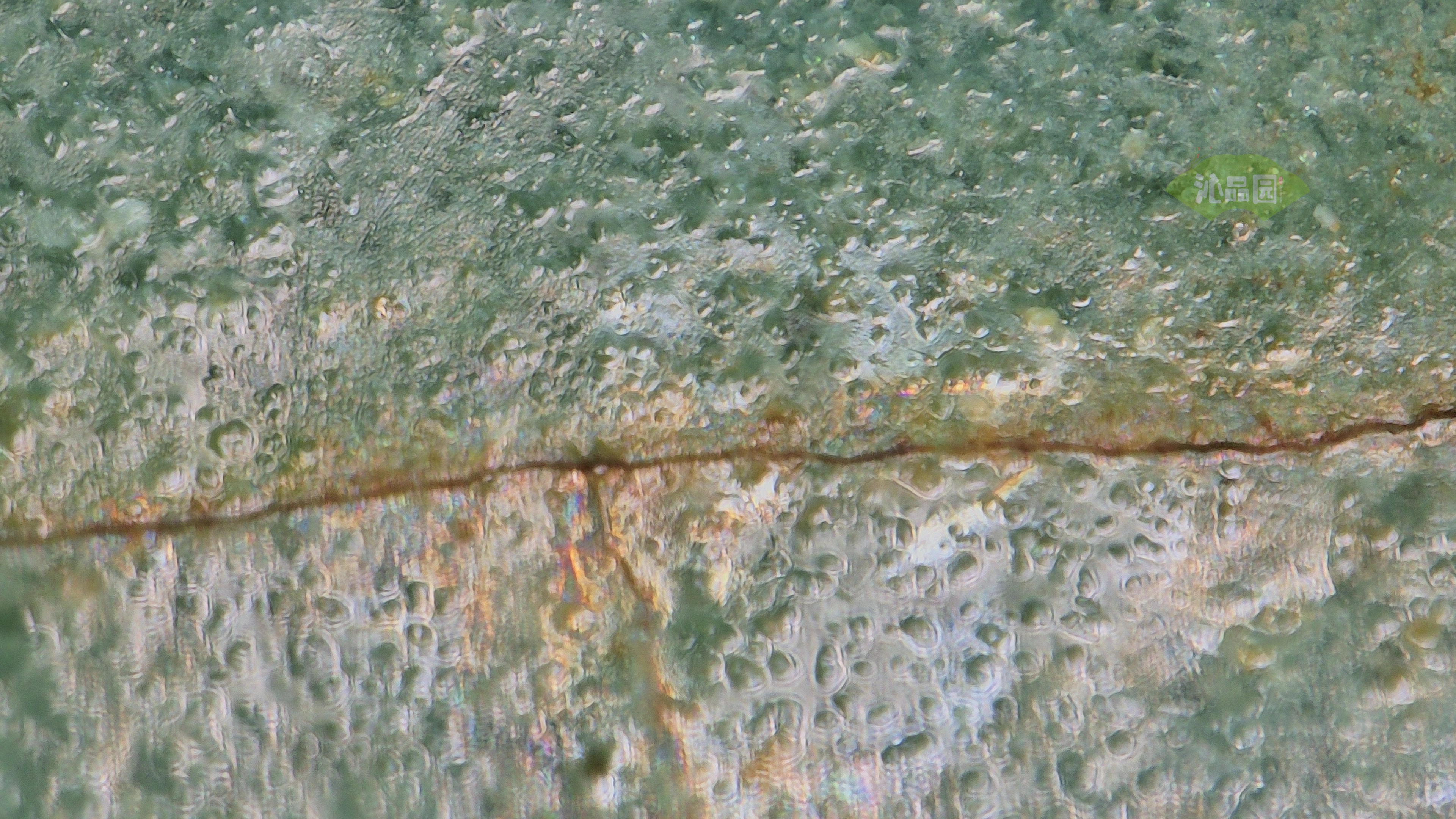 0010-1.jpg