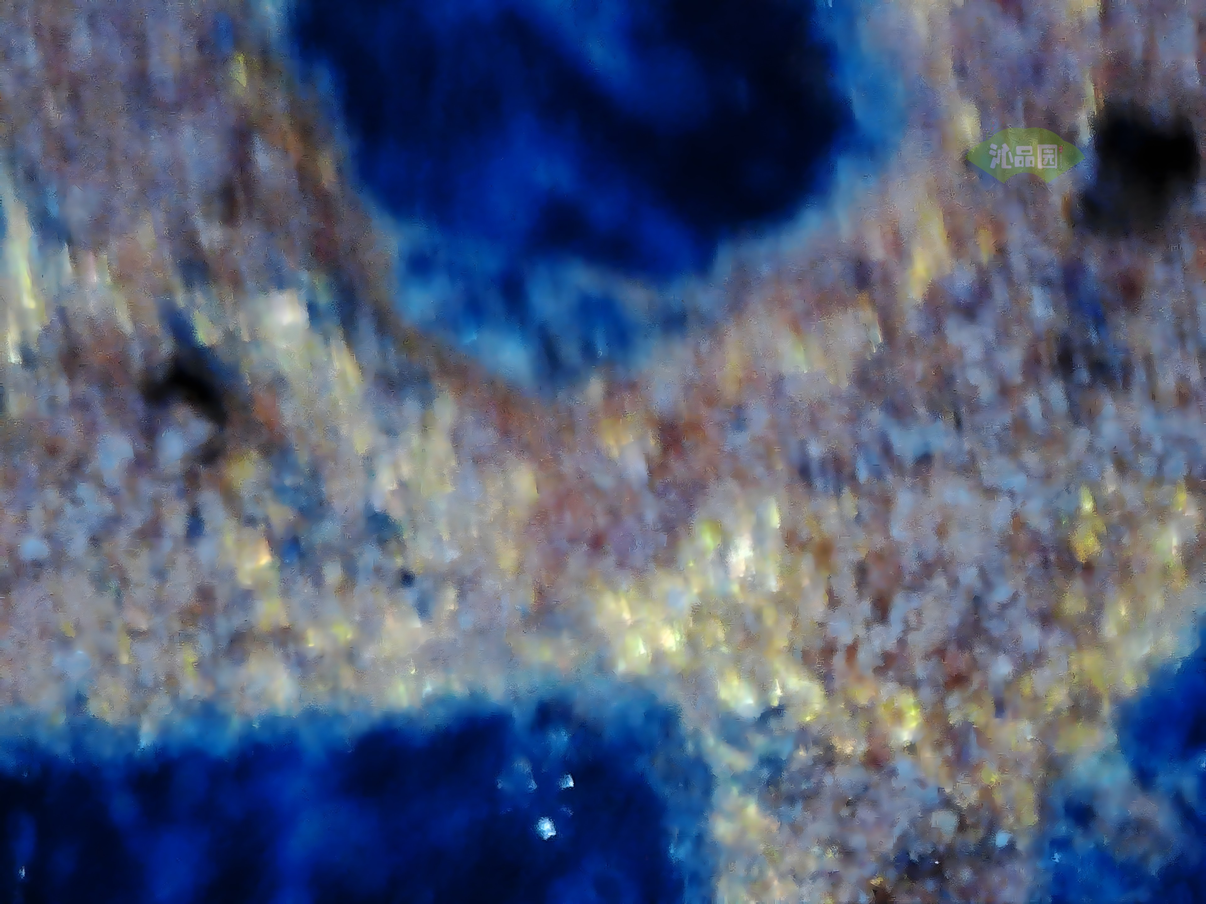 CHD00764.JPG