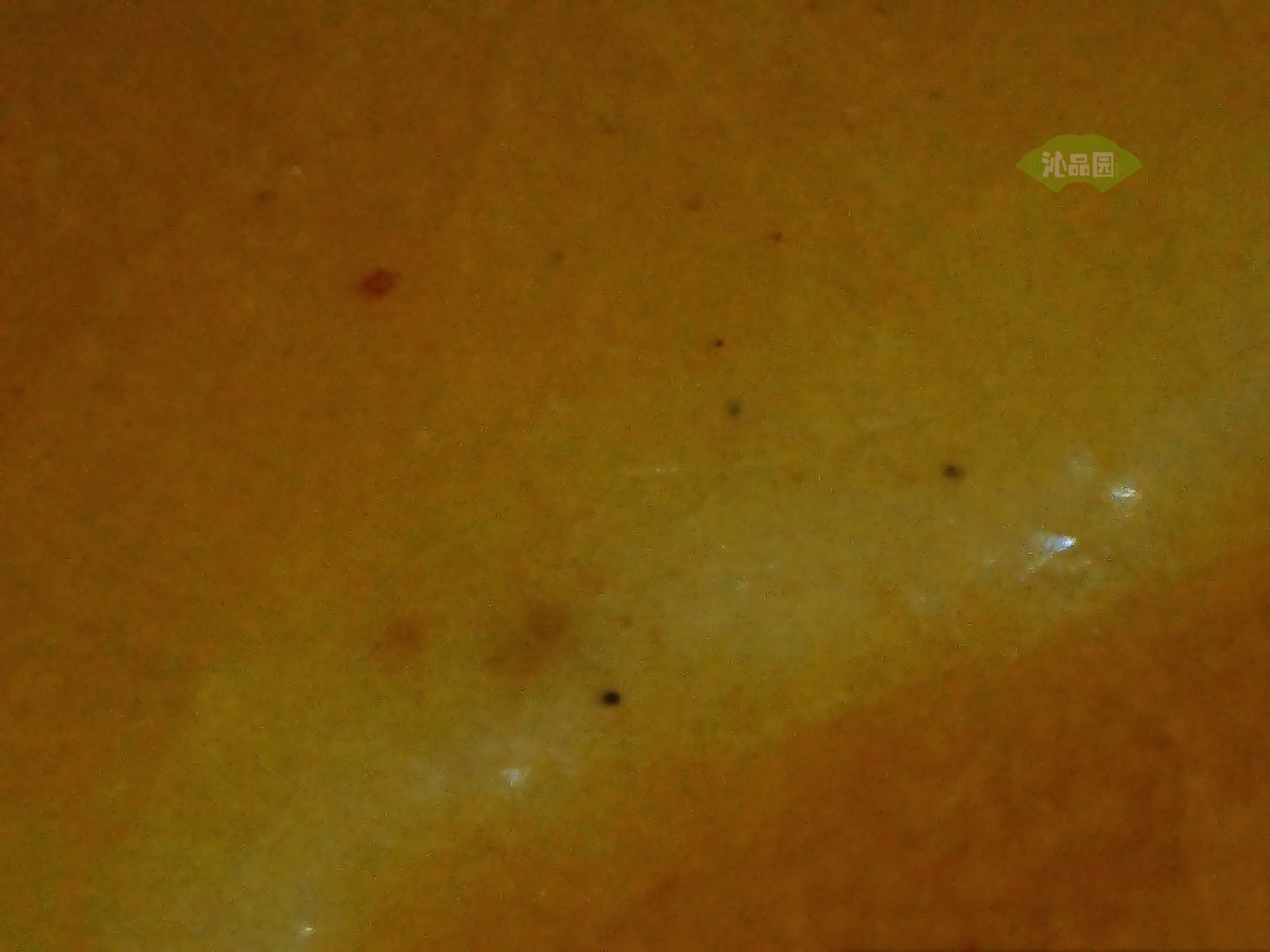 CHD00439.JPG