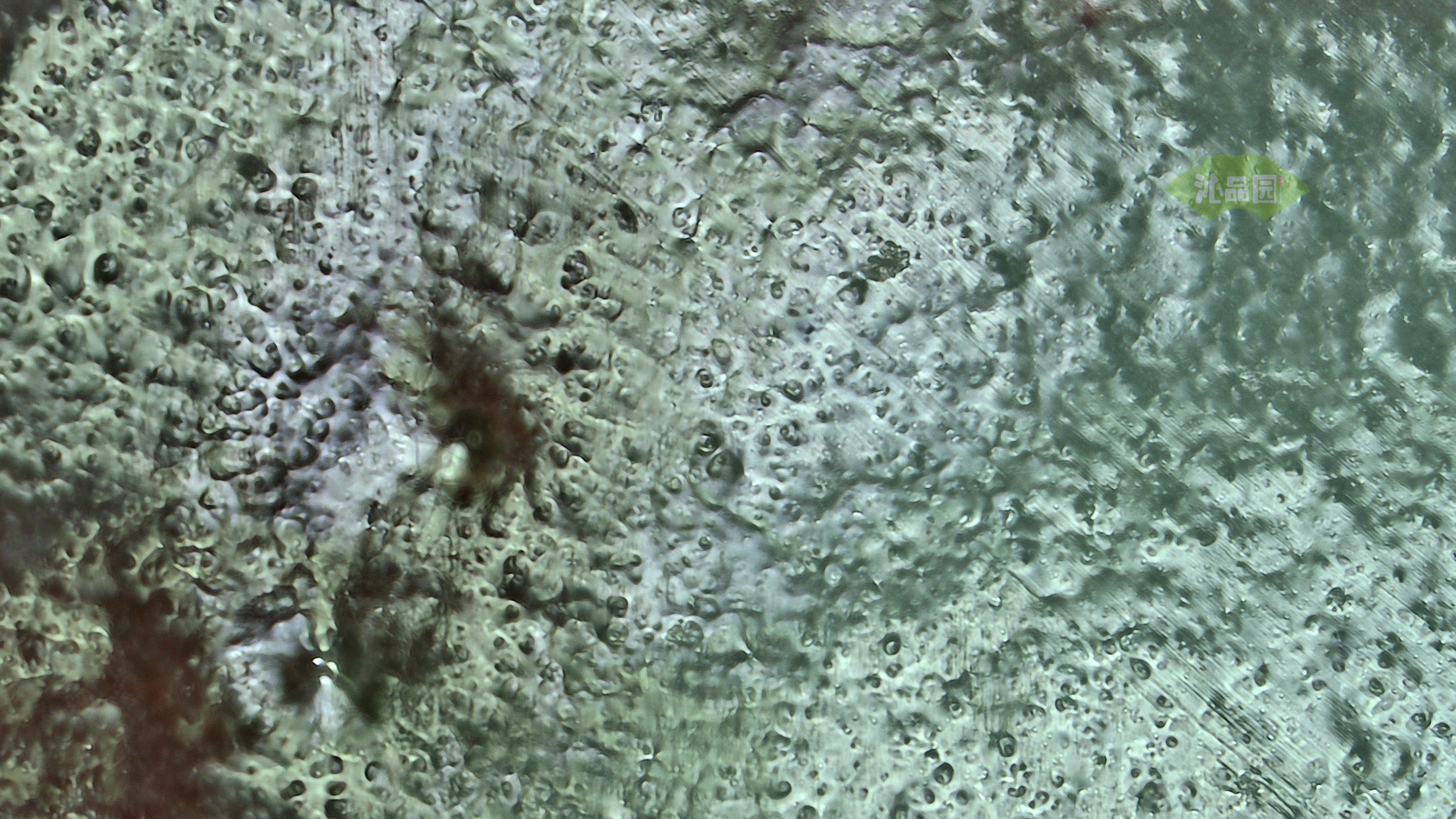 0064.jpg