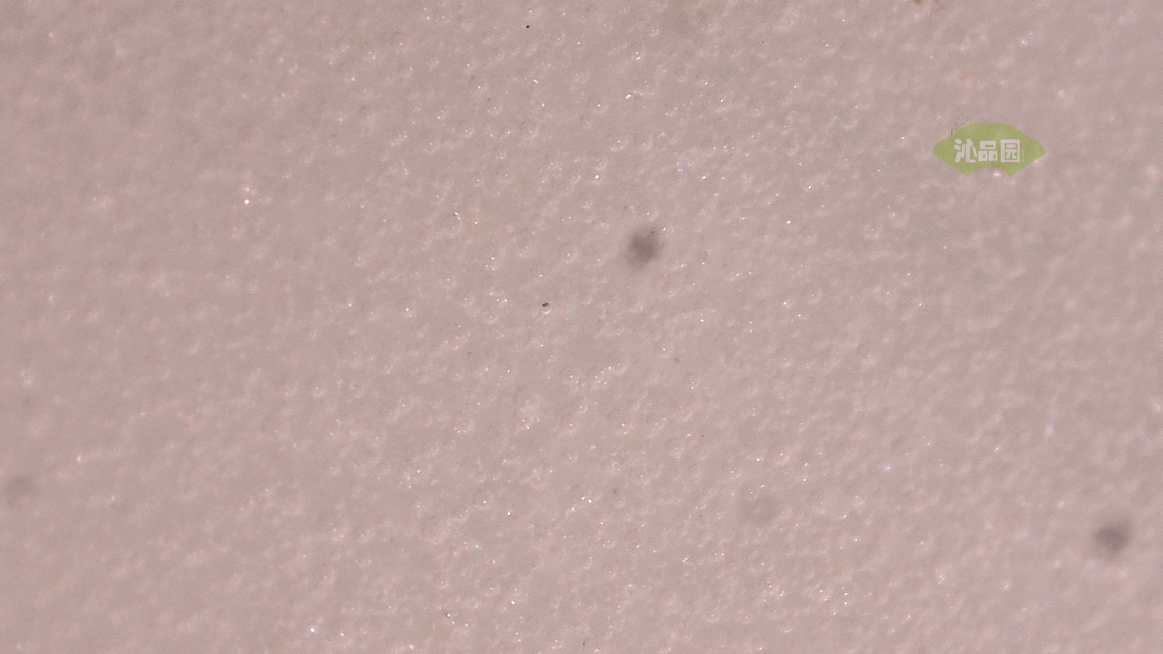 0480.jpg