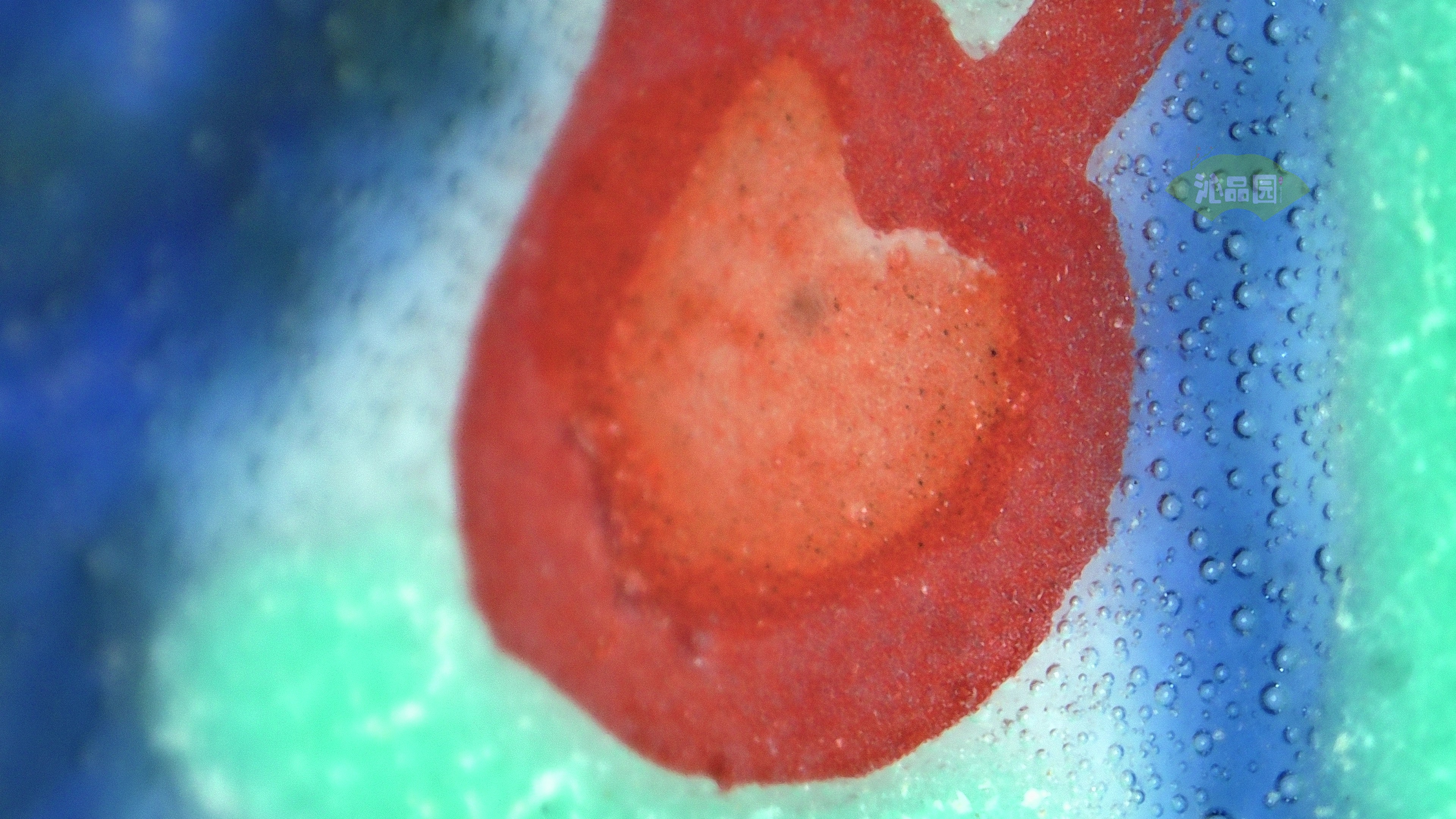 0219.jpg