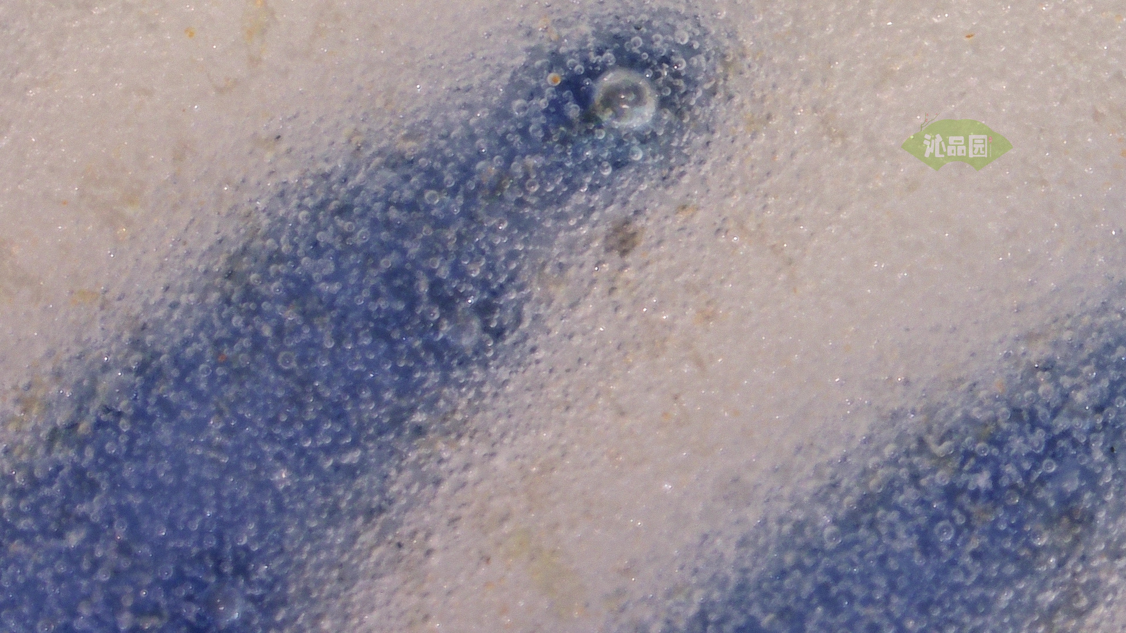 0380.jpg
