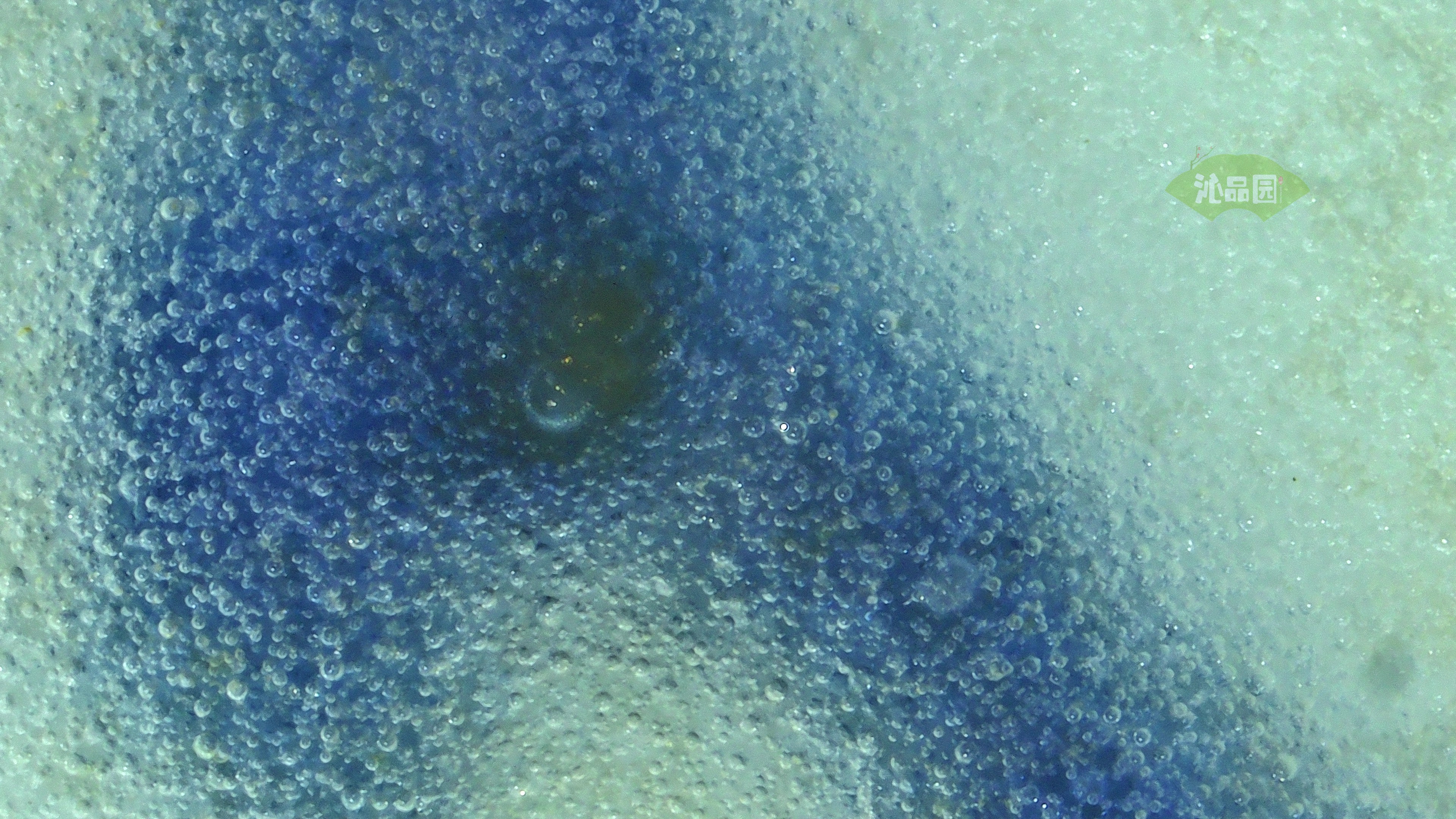 0400.jpg