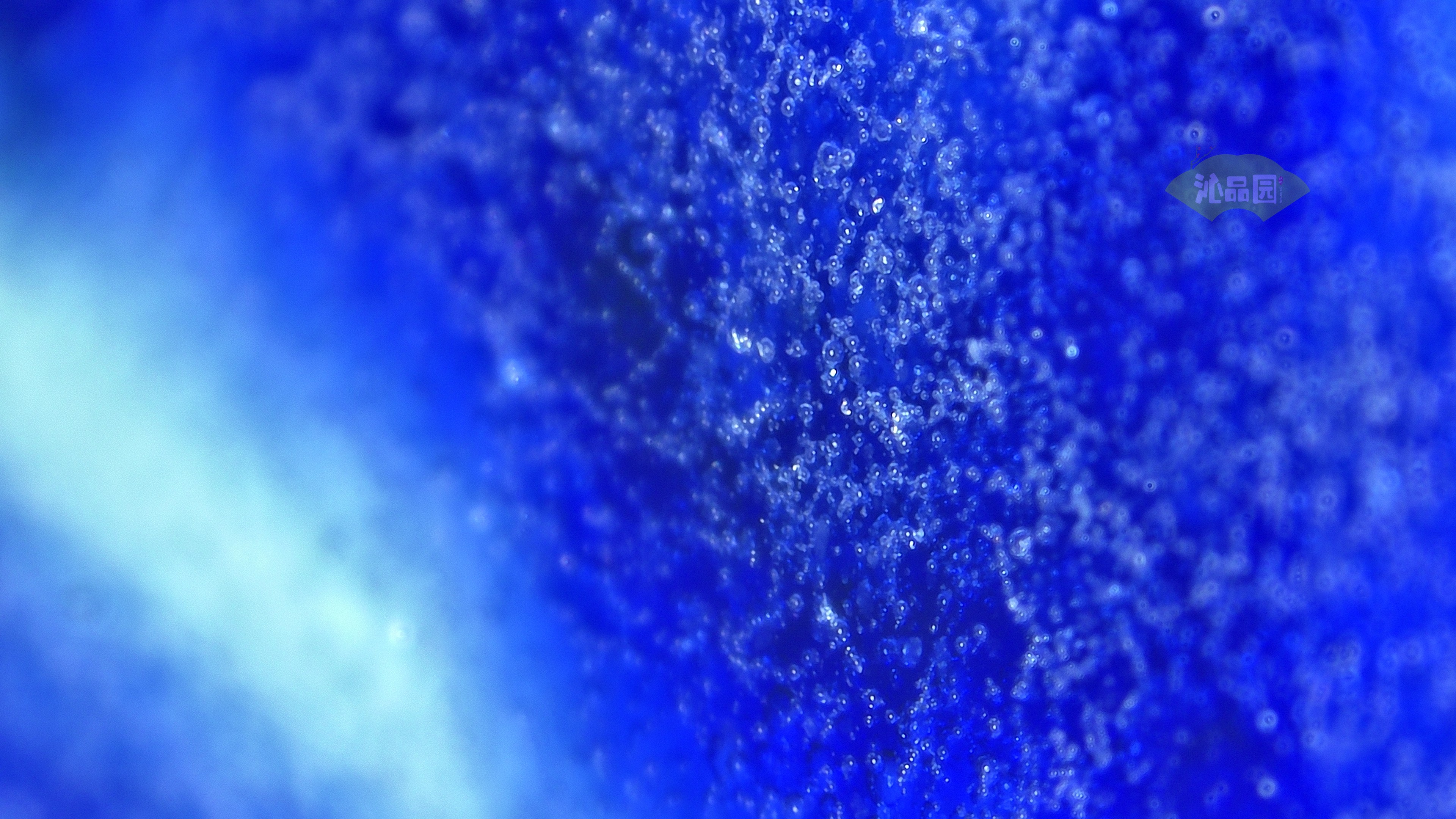 1047.jpg