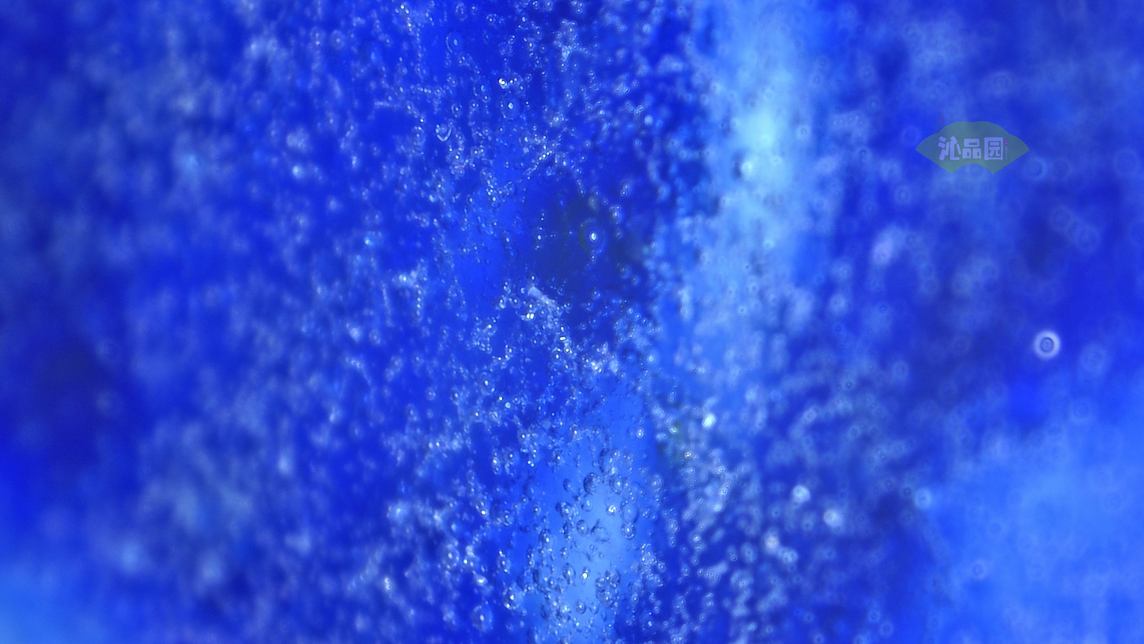 1048.jpg