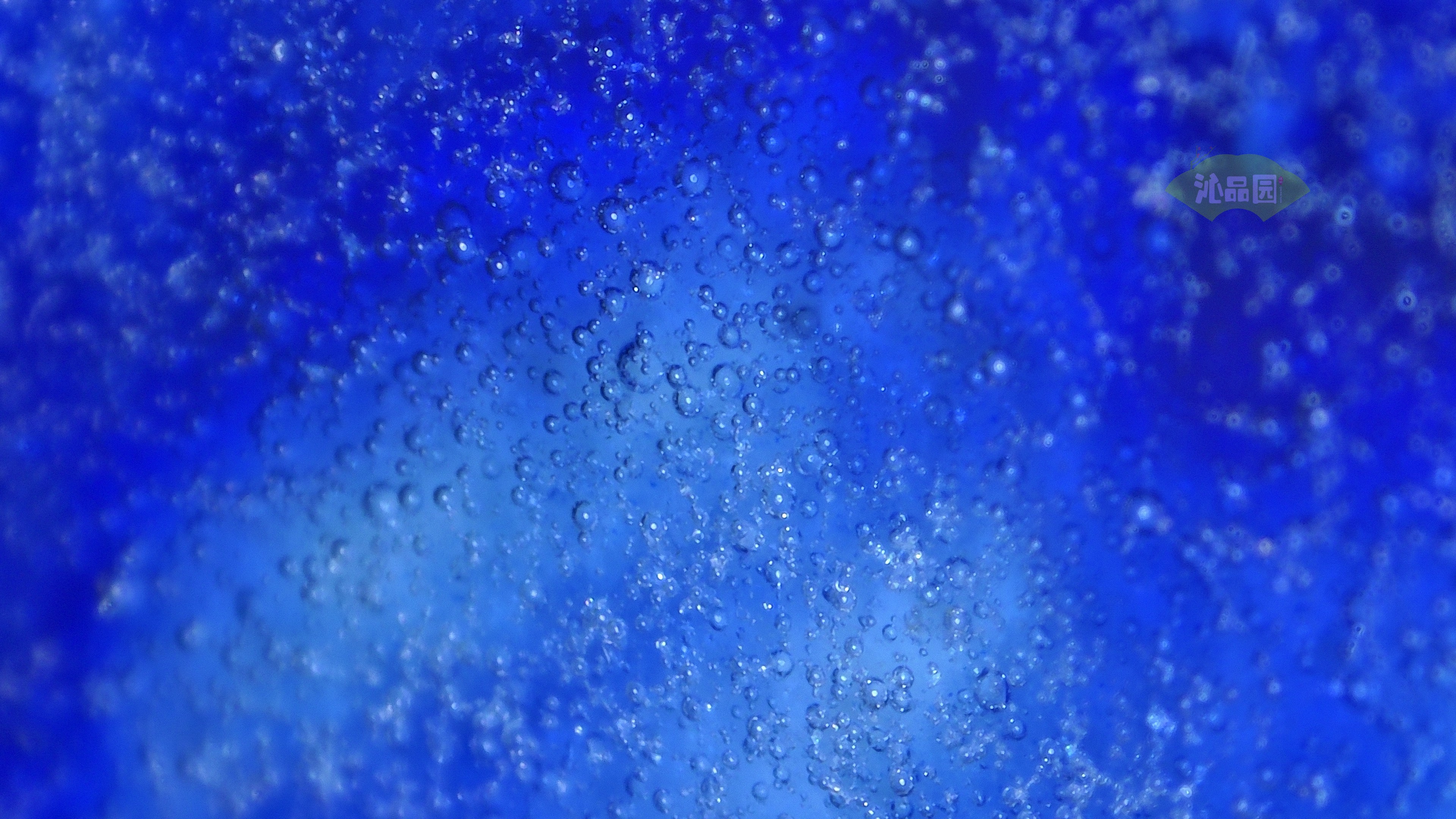 1053.jpg