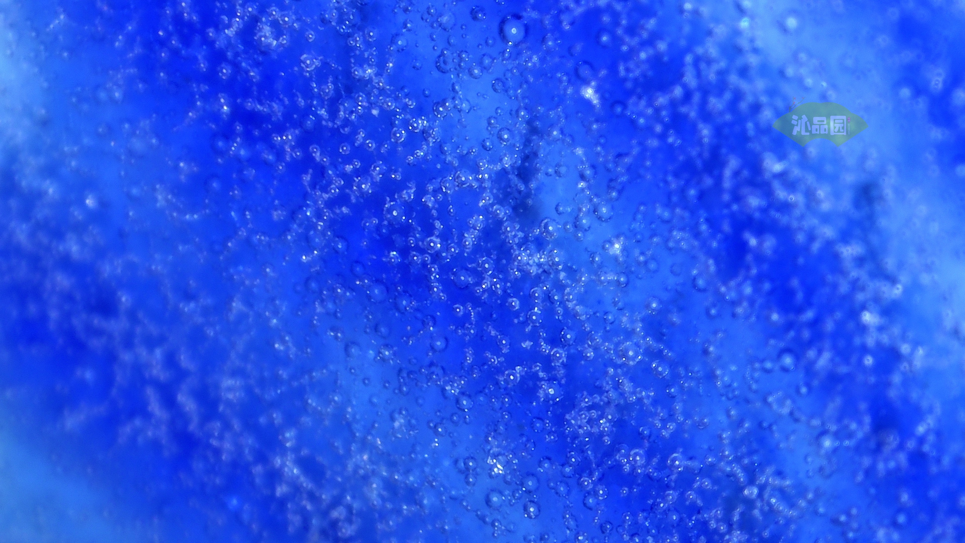 1054.jpg