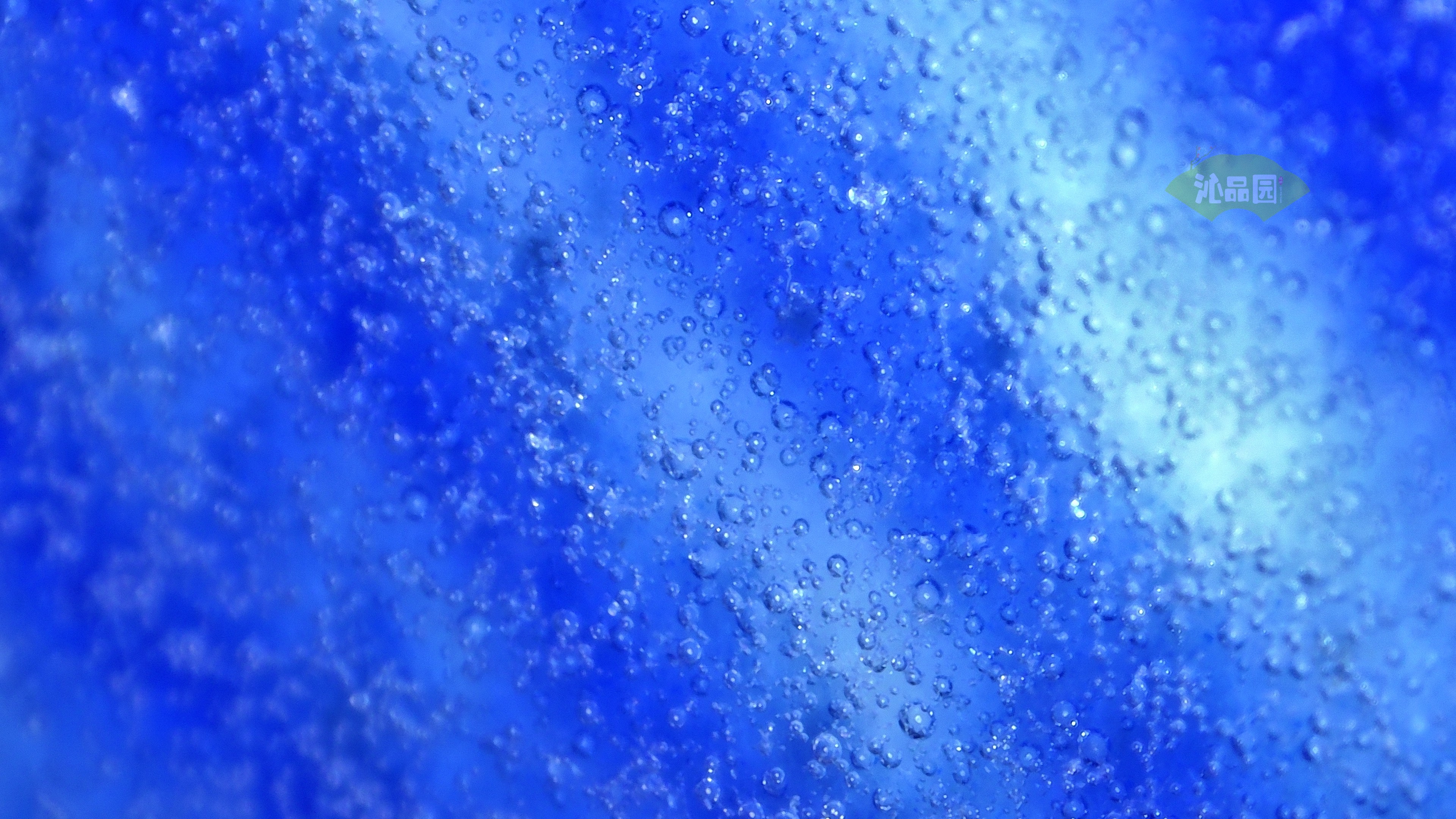 1055.jpg