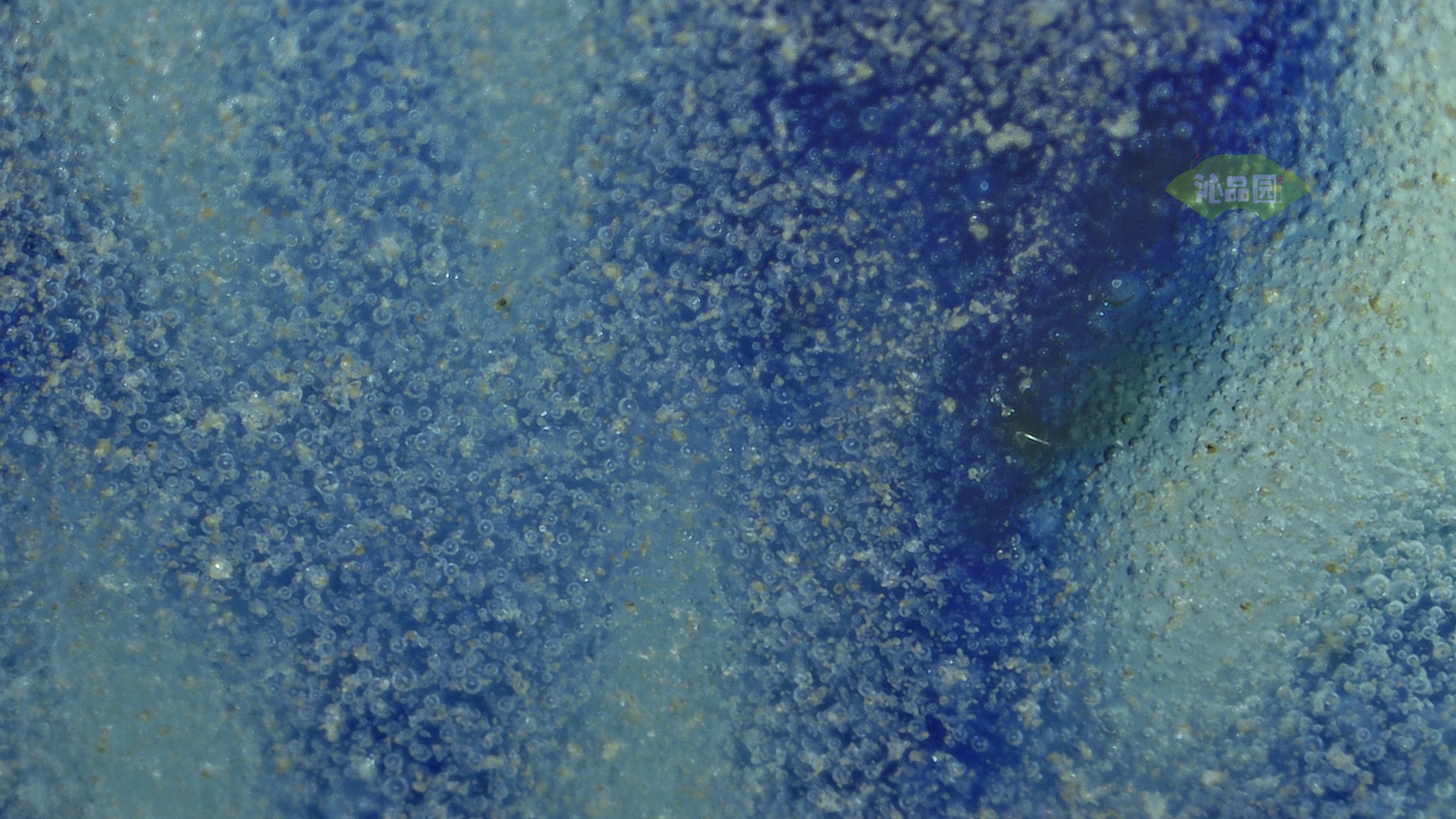 0200.jpg