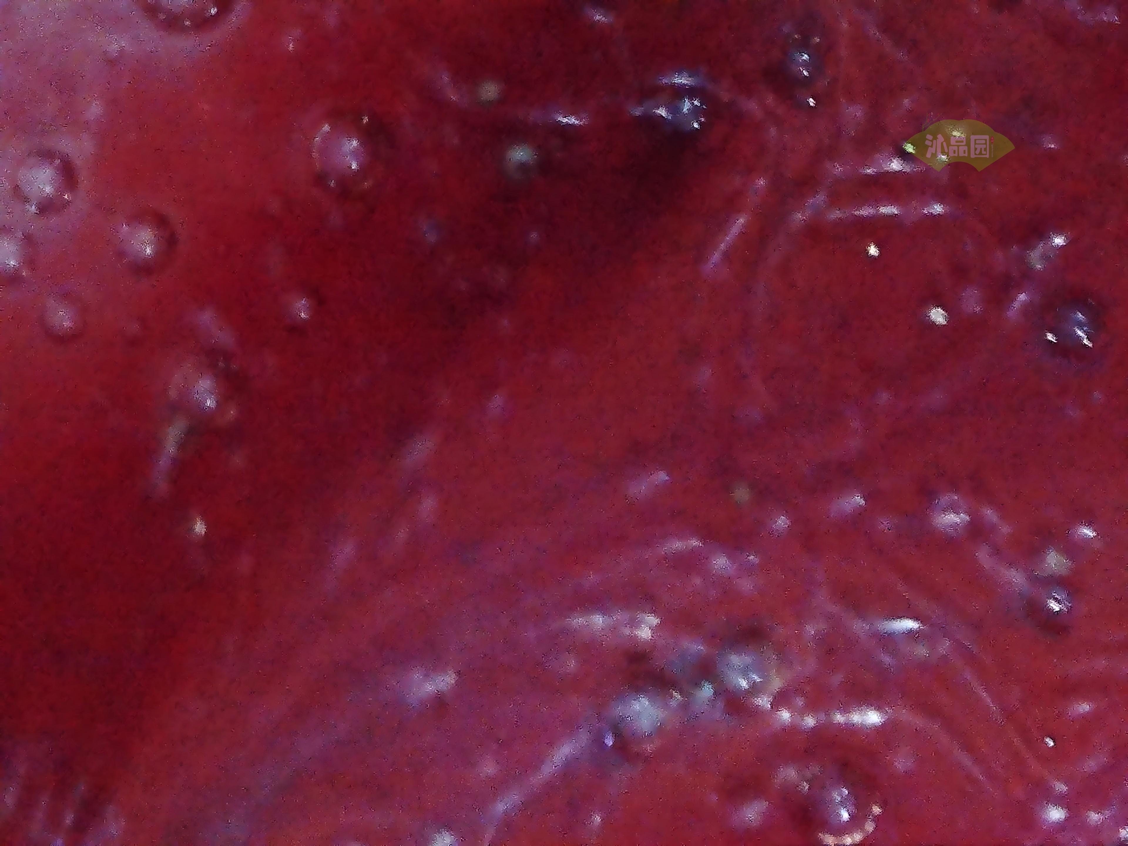 CHD00781.JPG