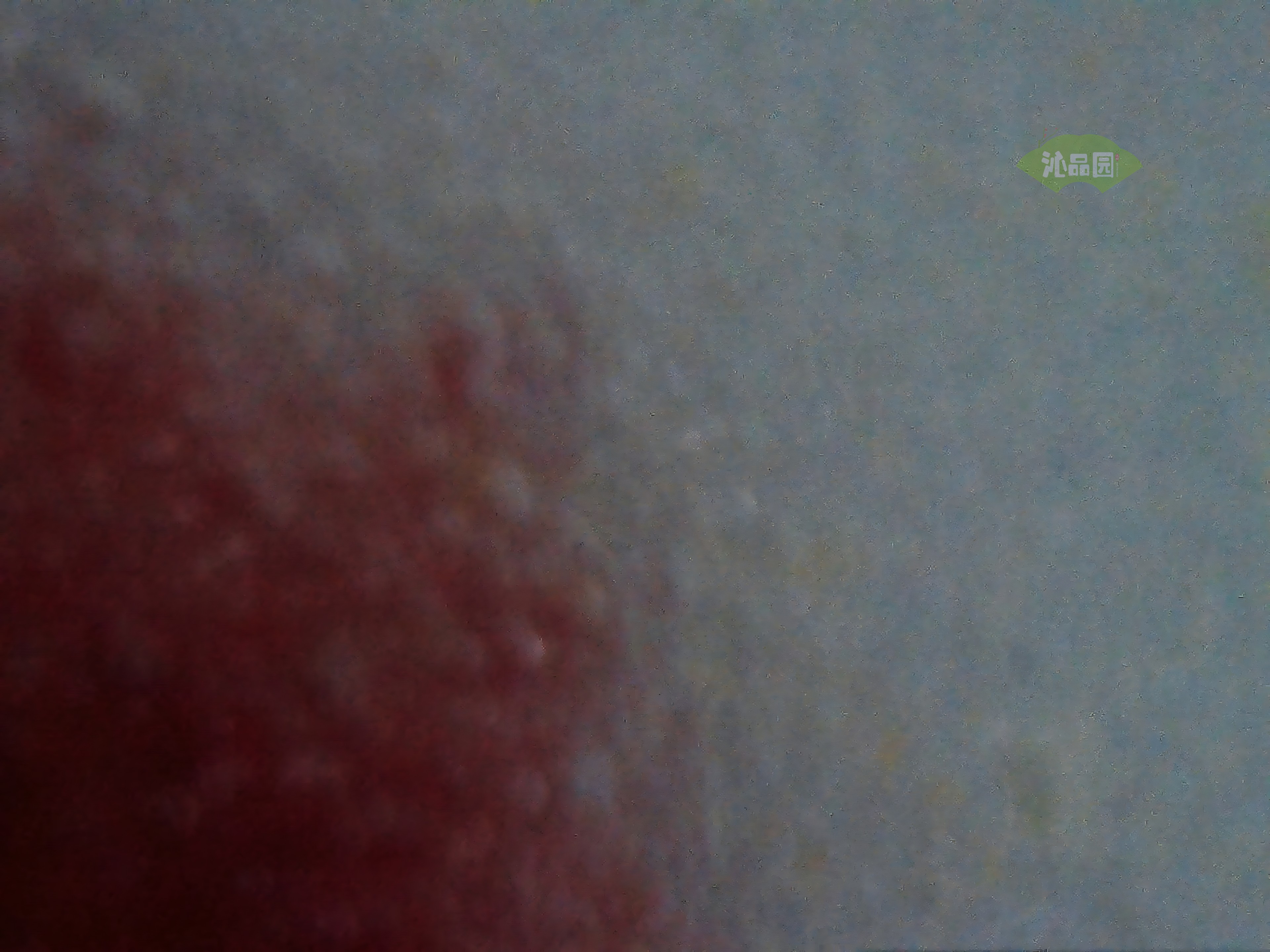 CHD00295.JPG