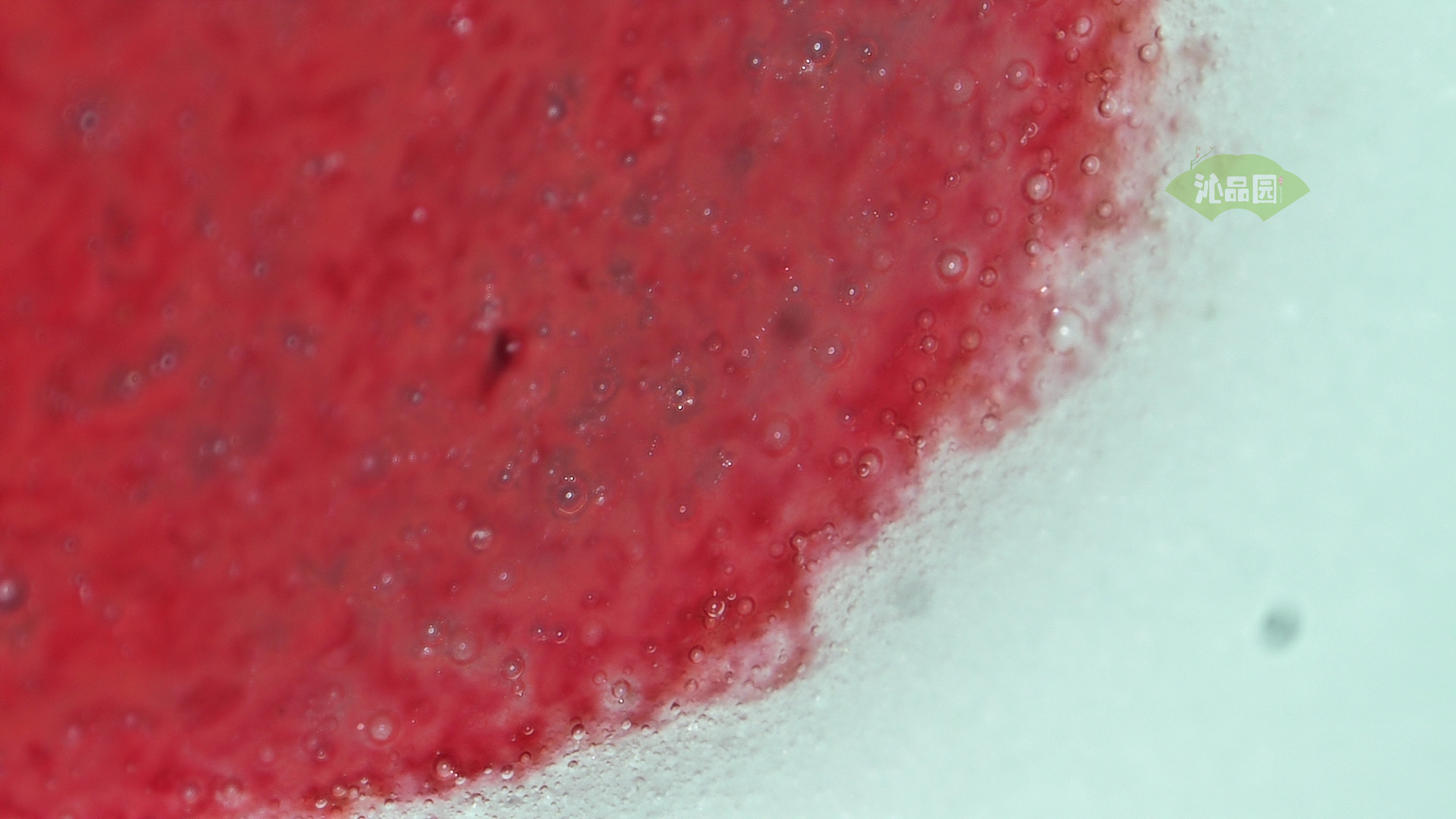 0271.jpg