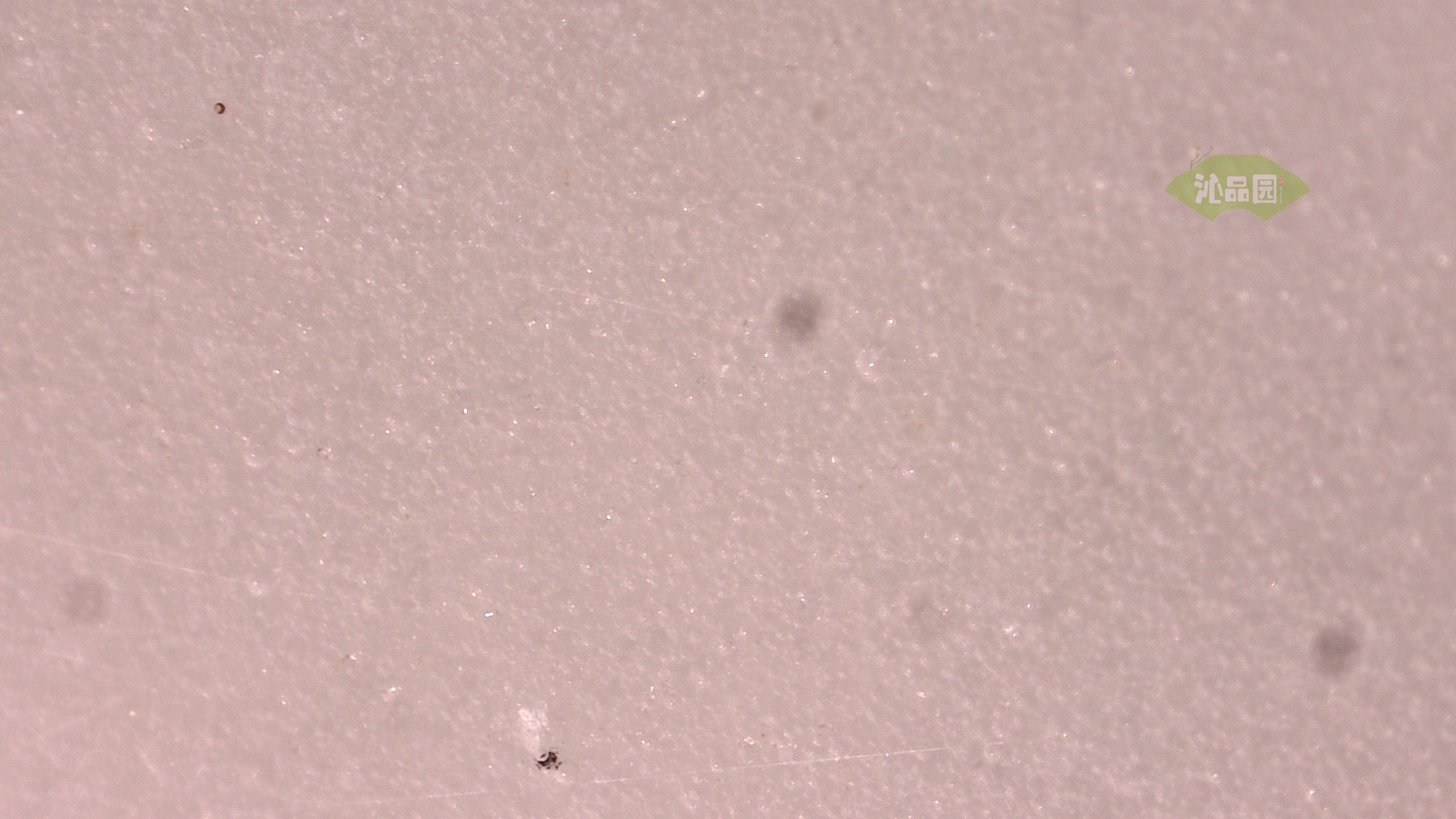 1039.jpg