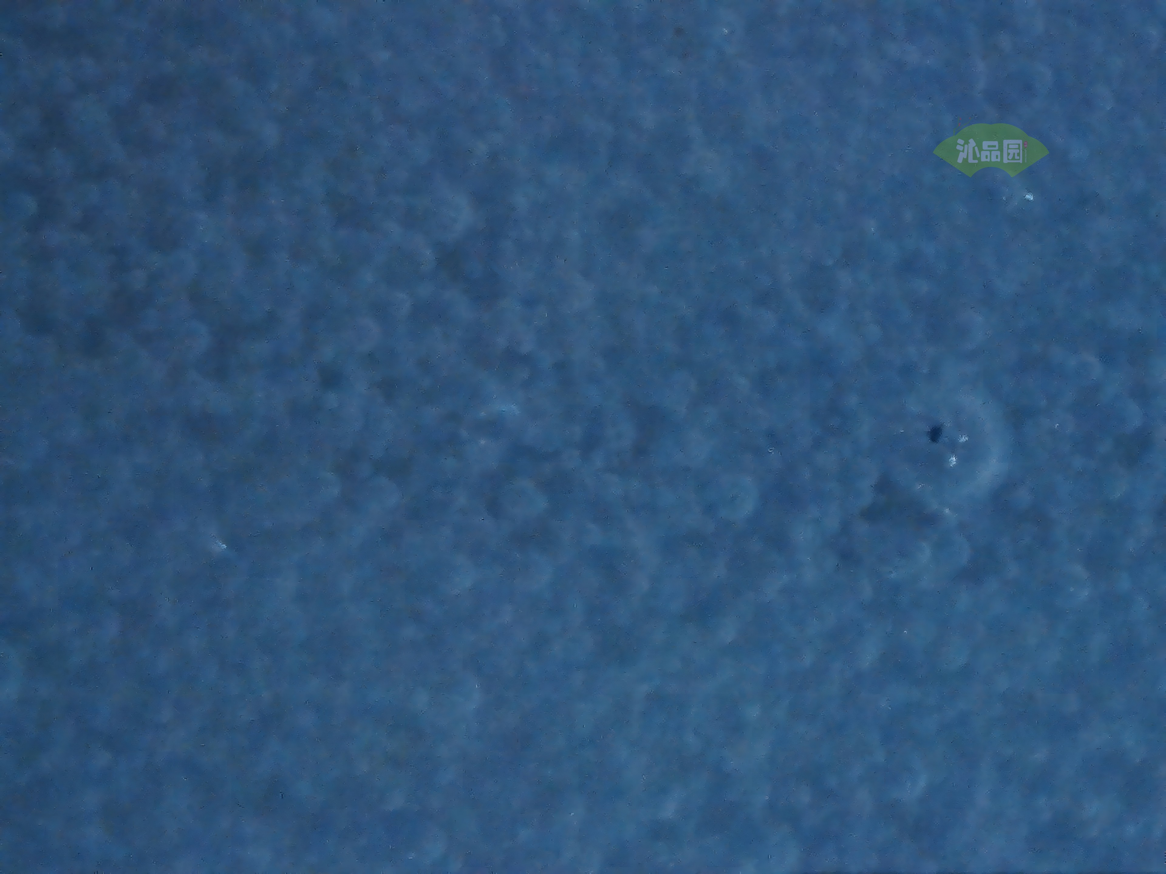 CHD00594.JPG