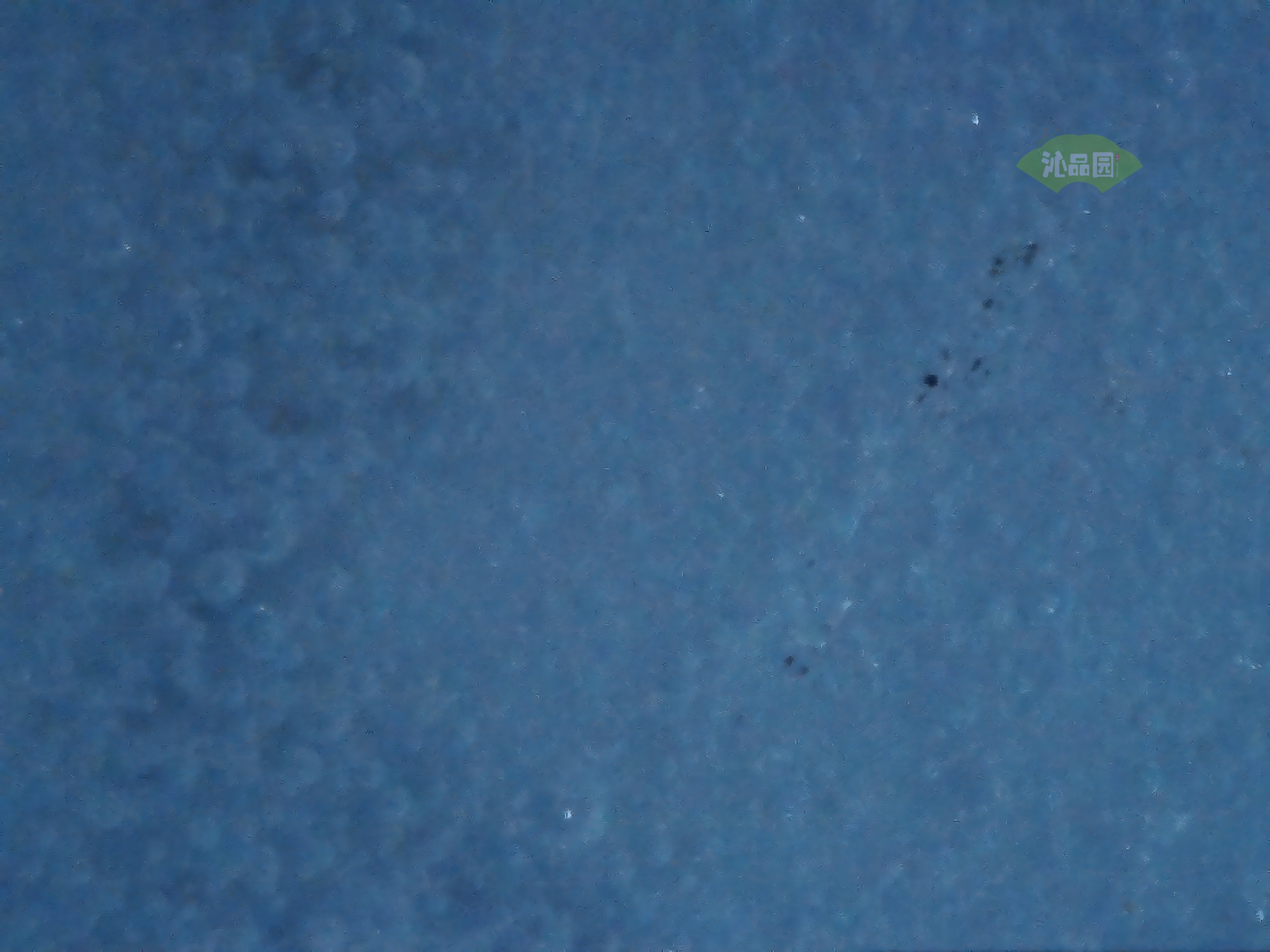 CHD00595.JPG