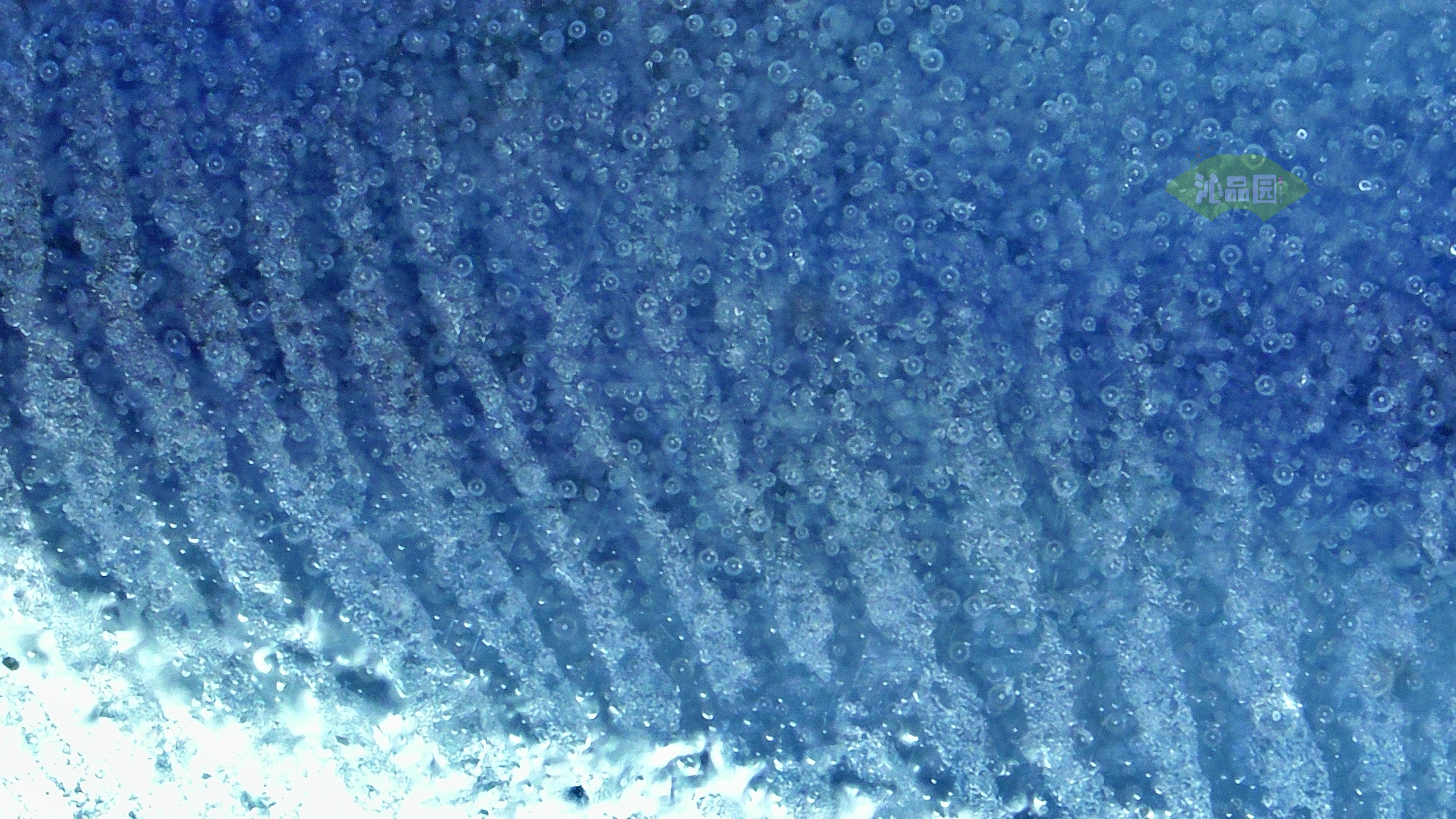 0335.jpg