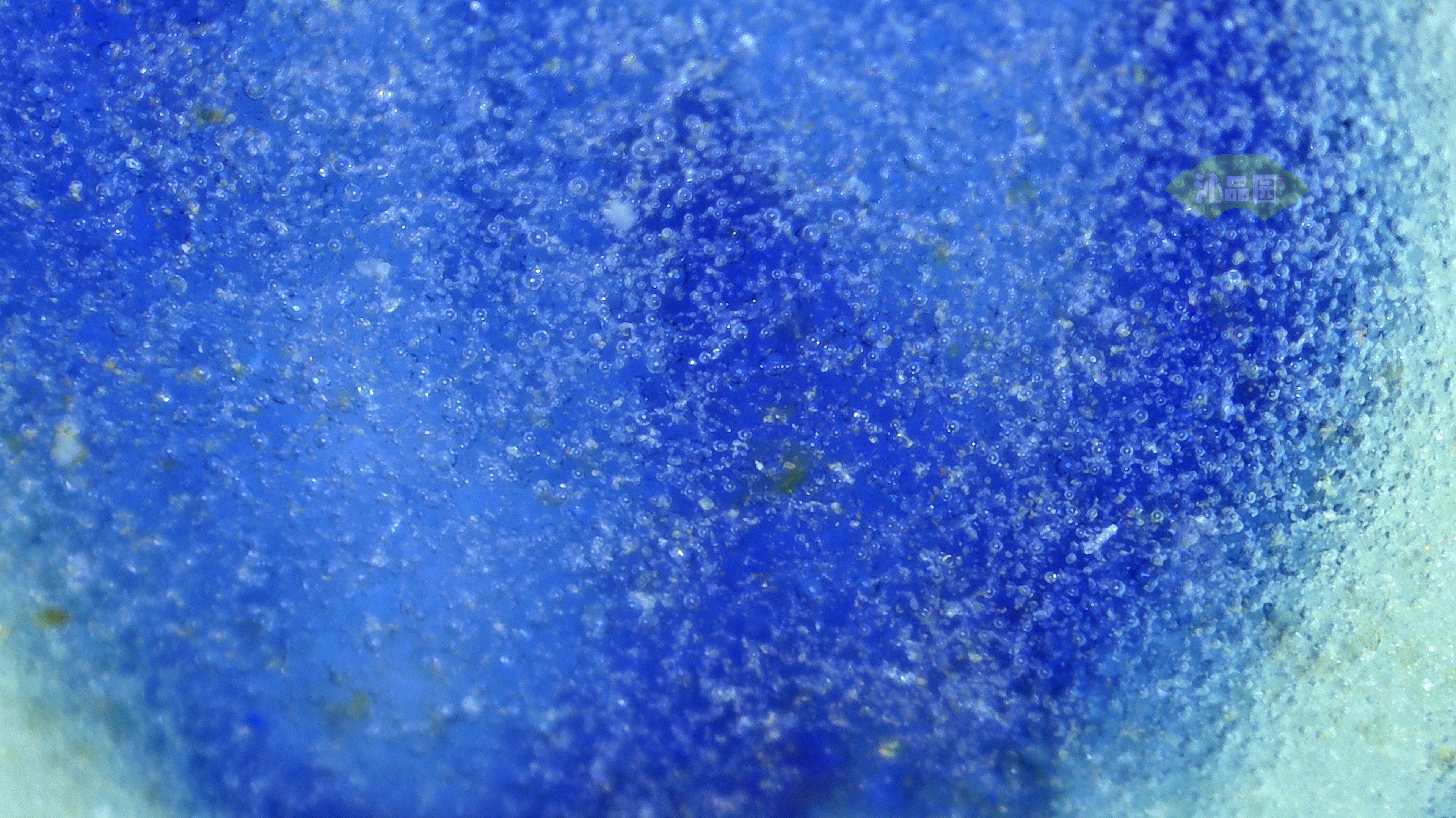 0598.jpg