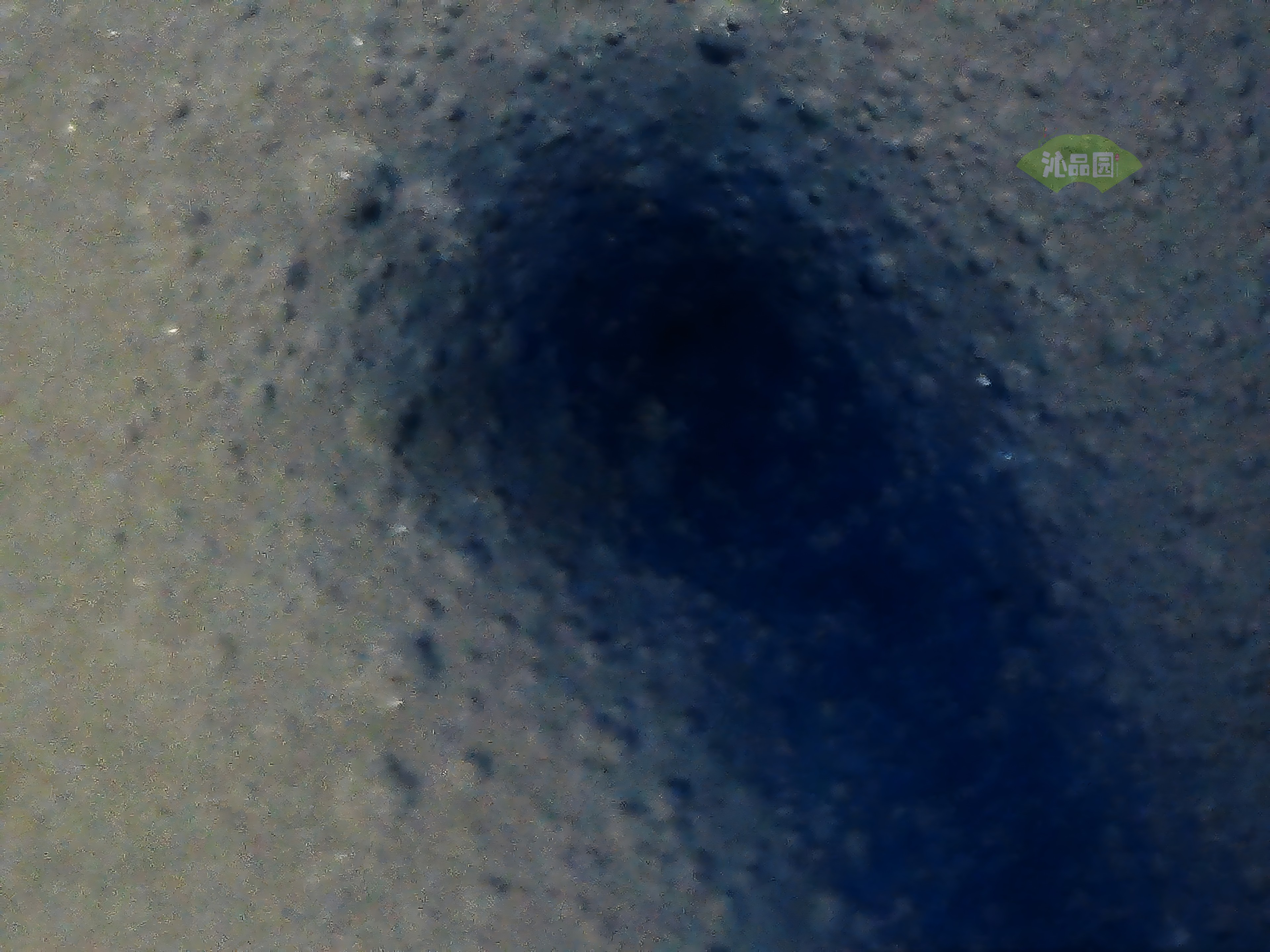 CHD00288.JPG