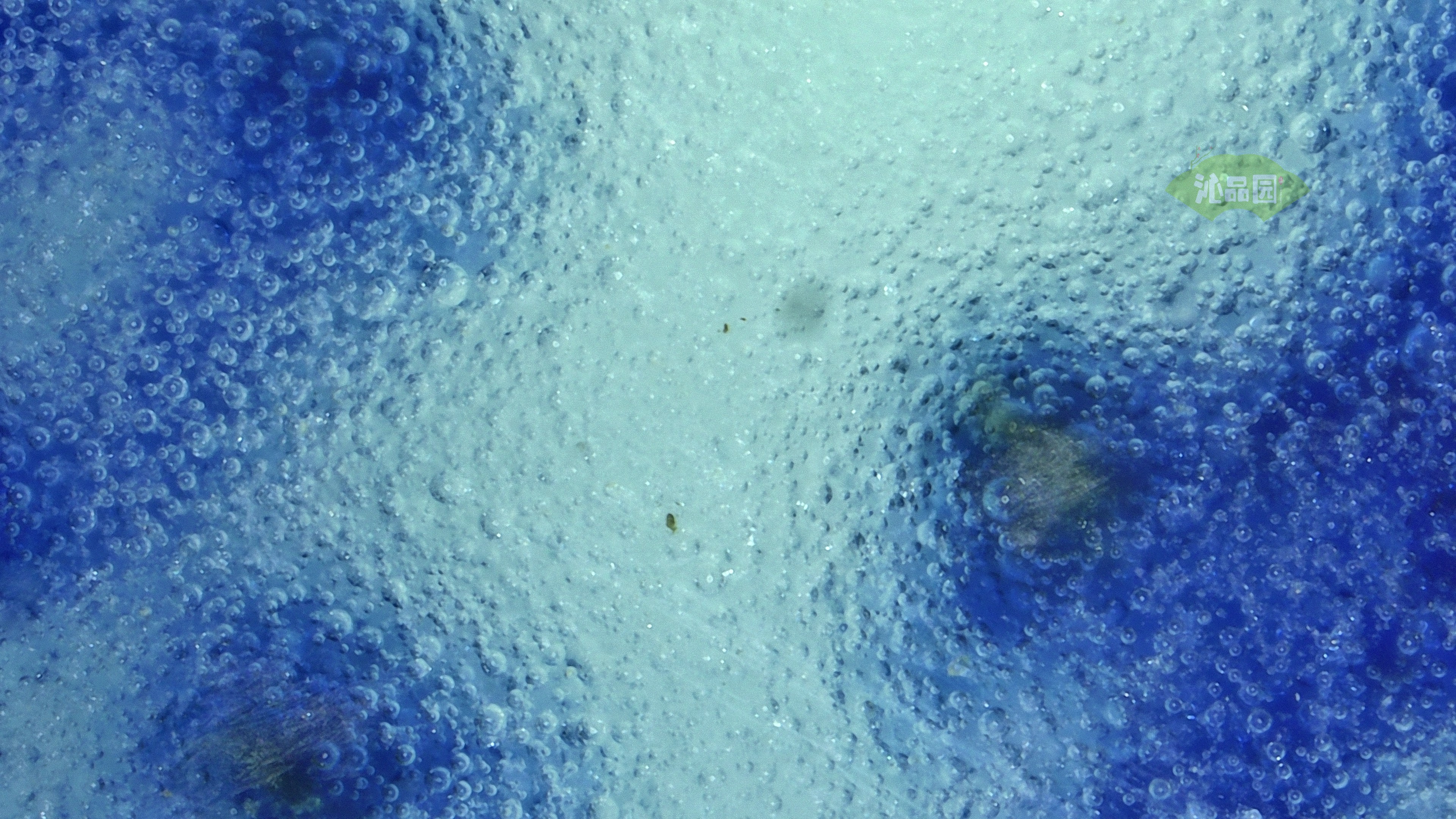 0077.jpg