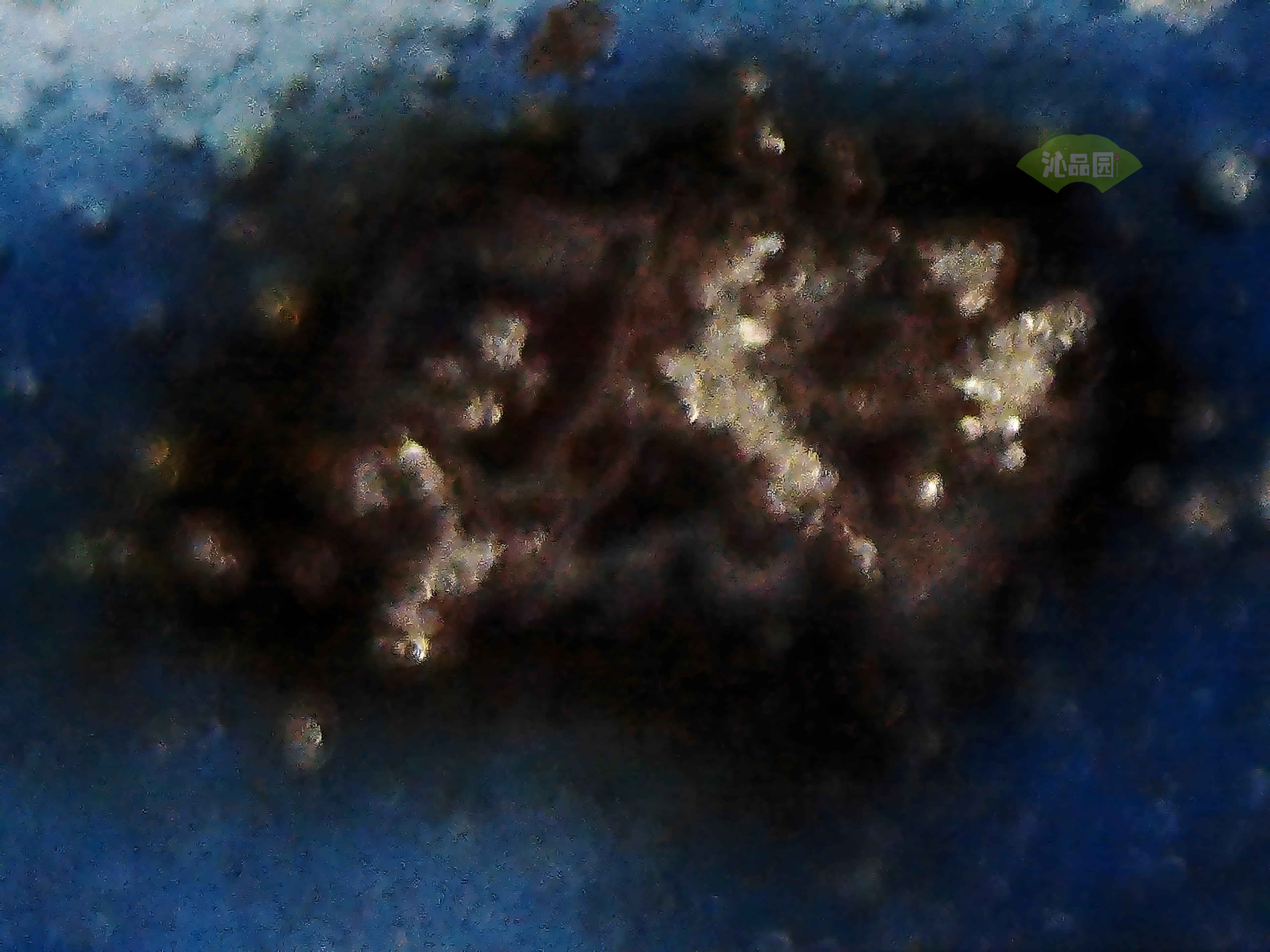 CHD00889.JPG