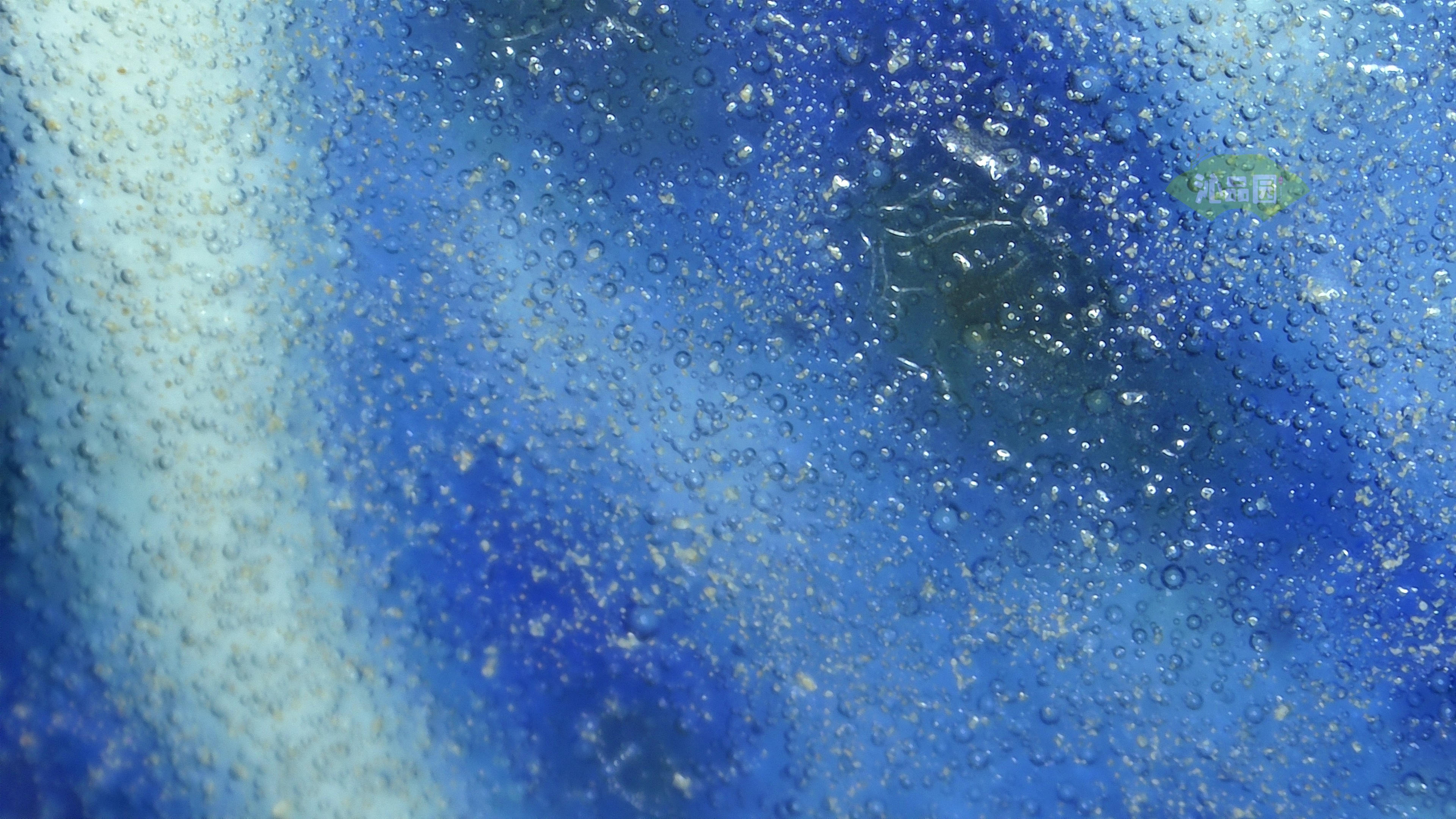 1023.jpg