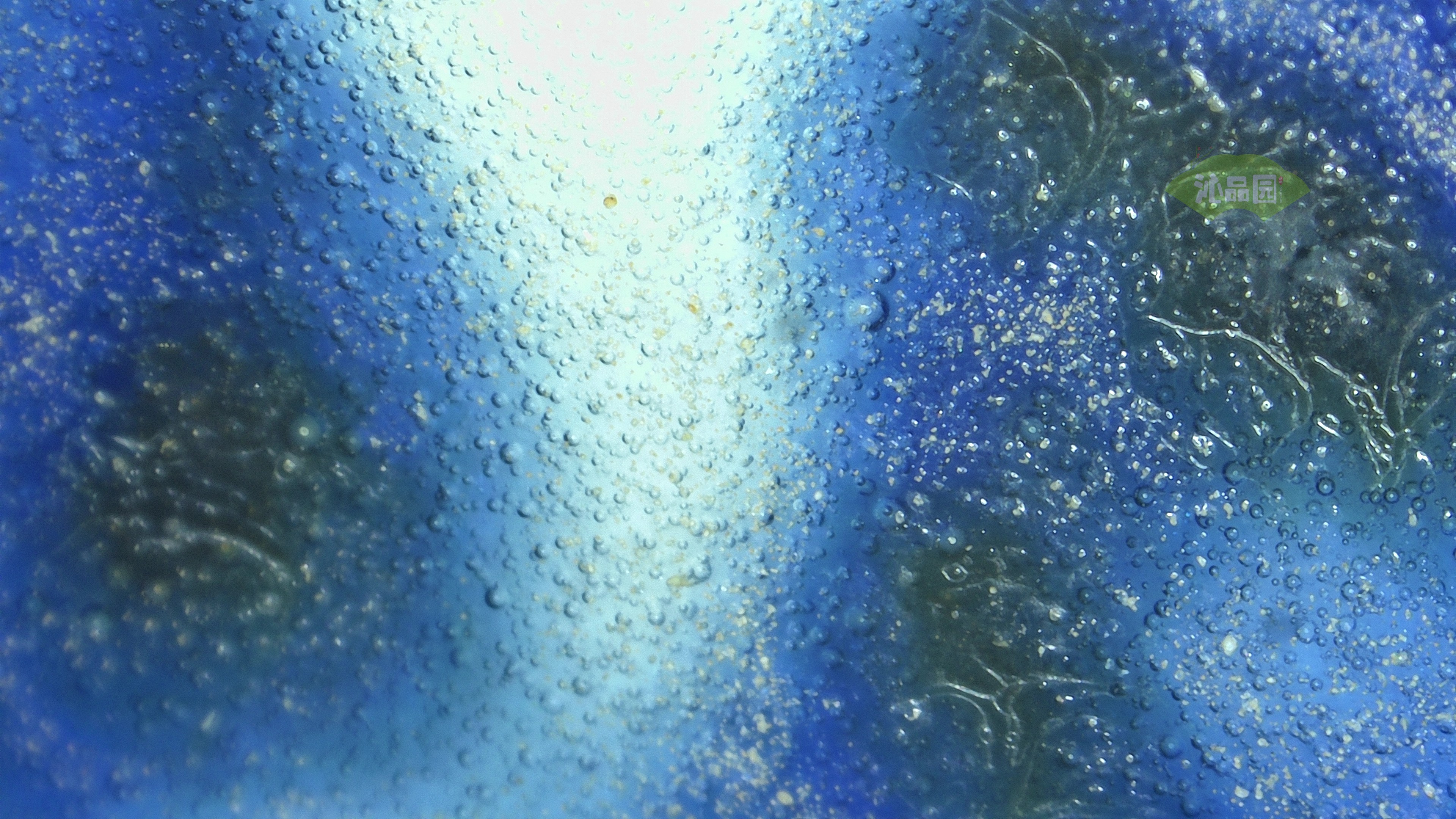 1024.jpg