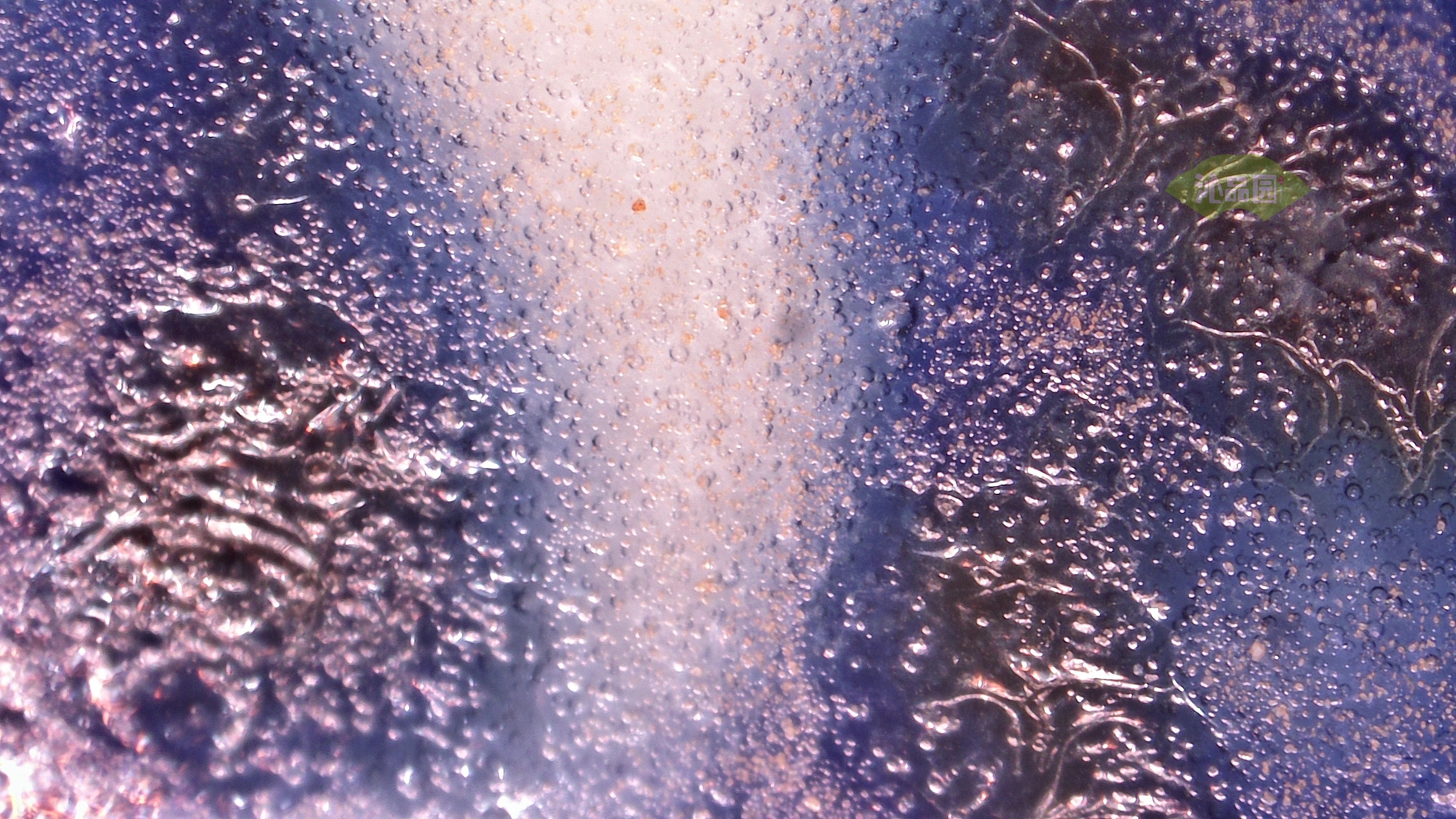 1025.jpg