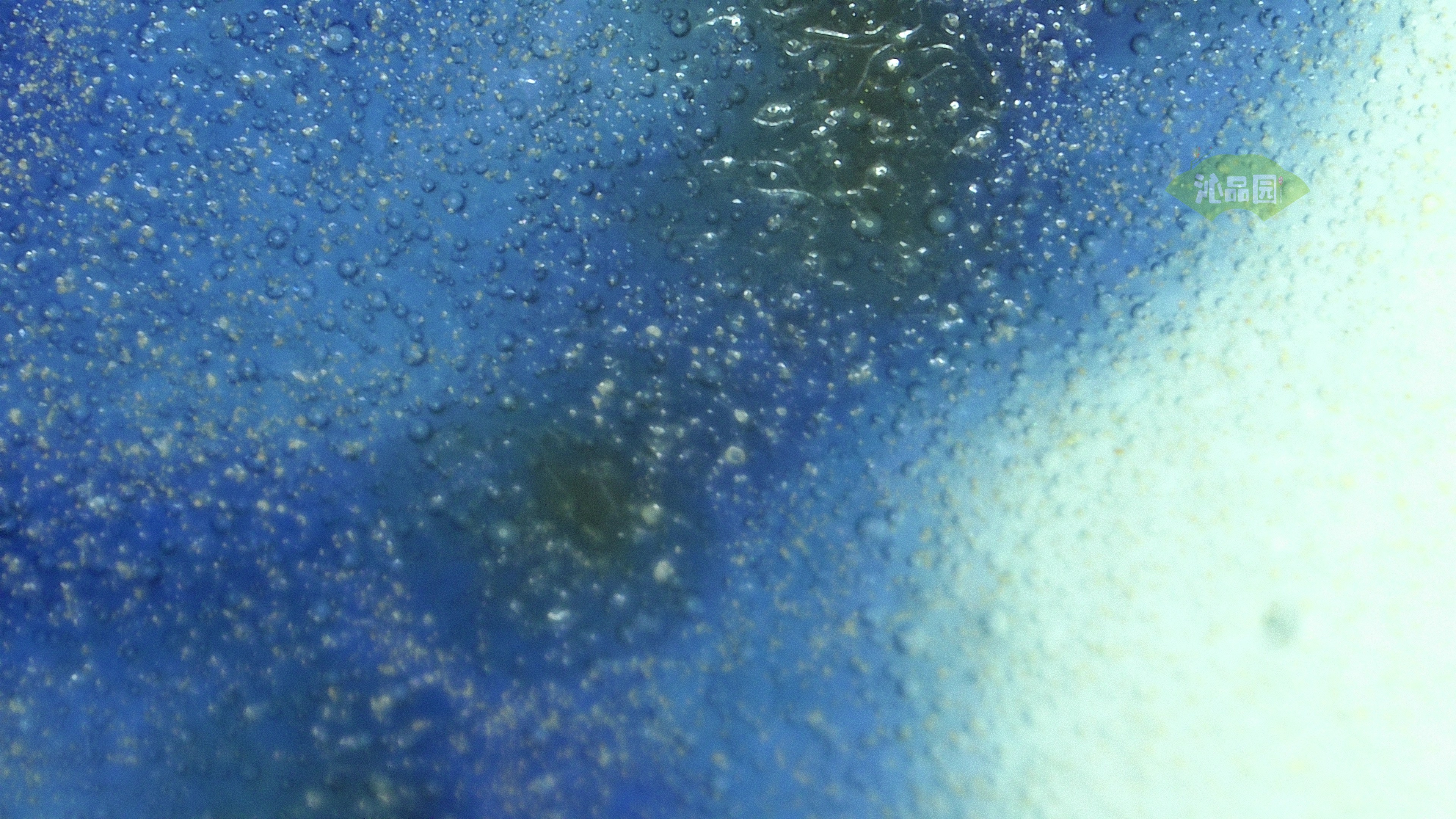 1040.jpg