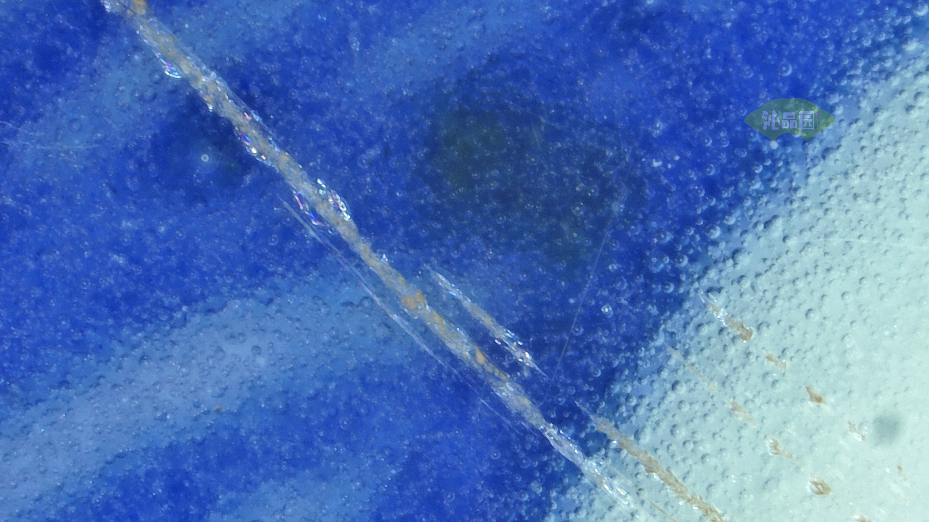 0460.jpg