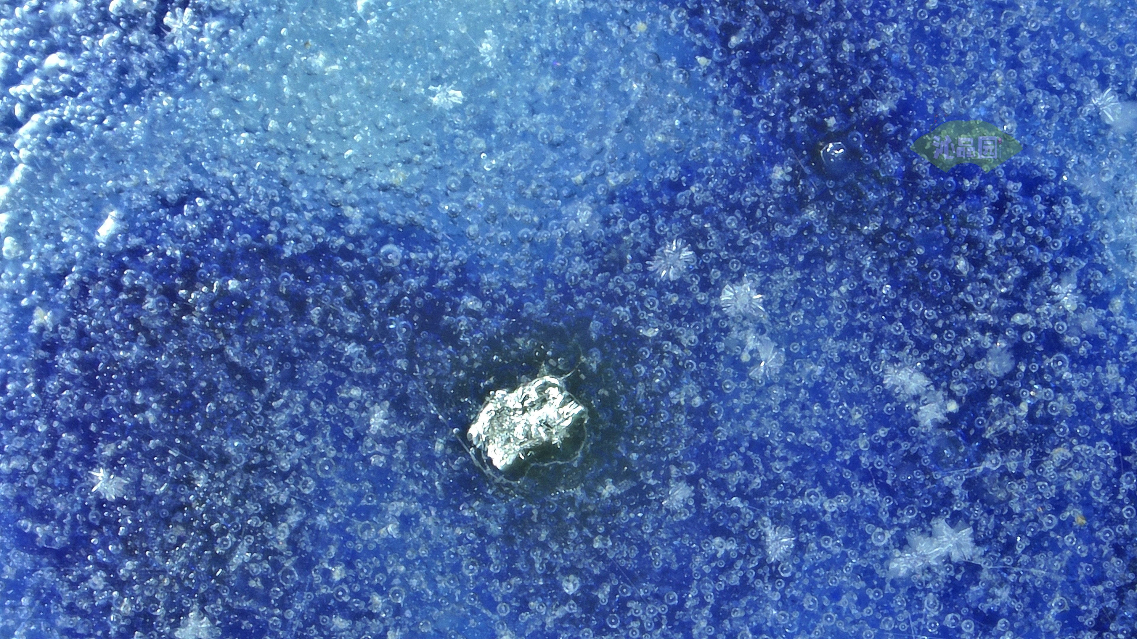 1011.jpg