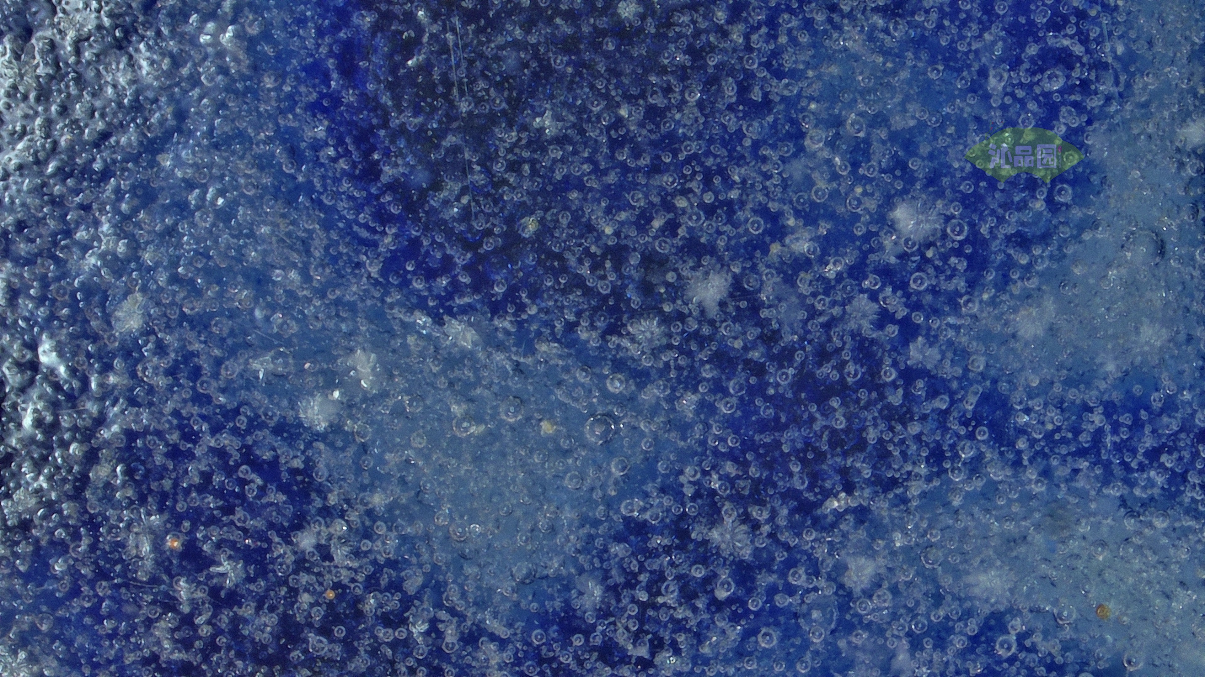 1014.jpg