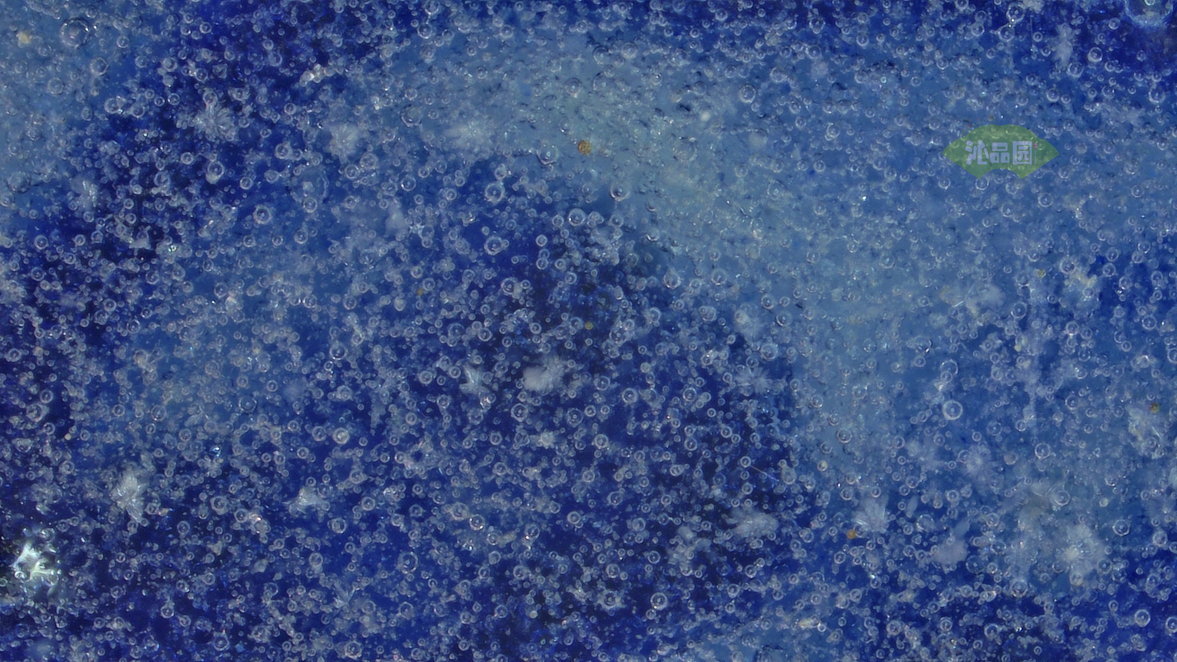 1016.jpg