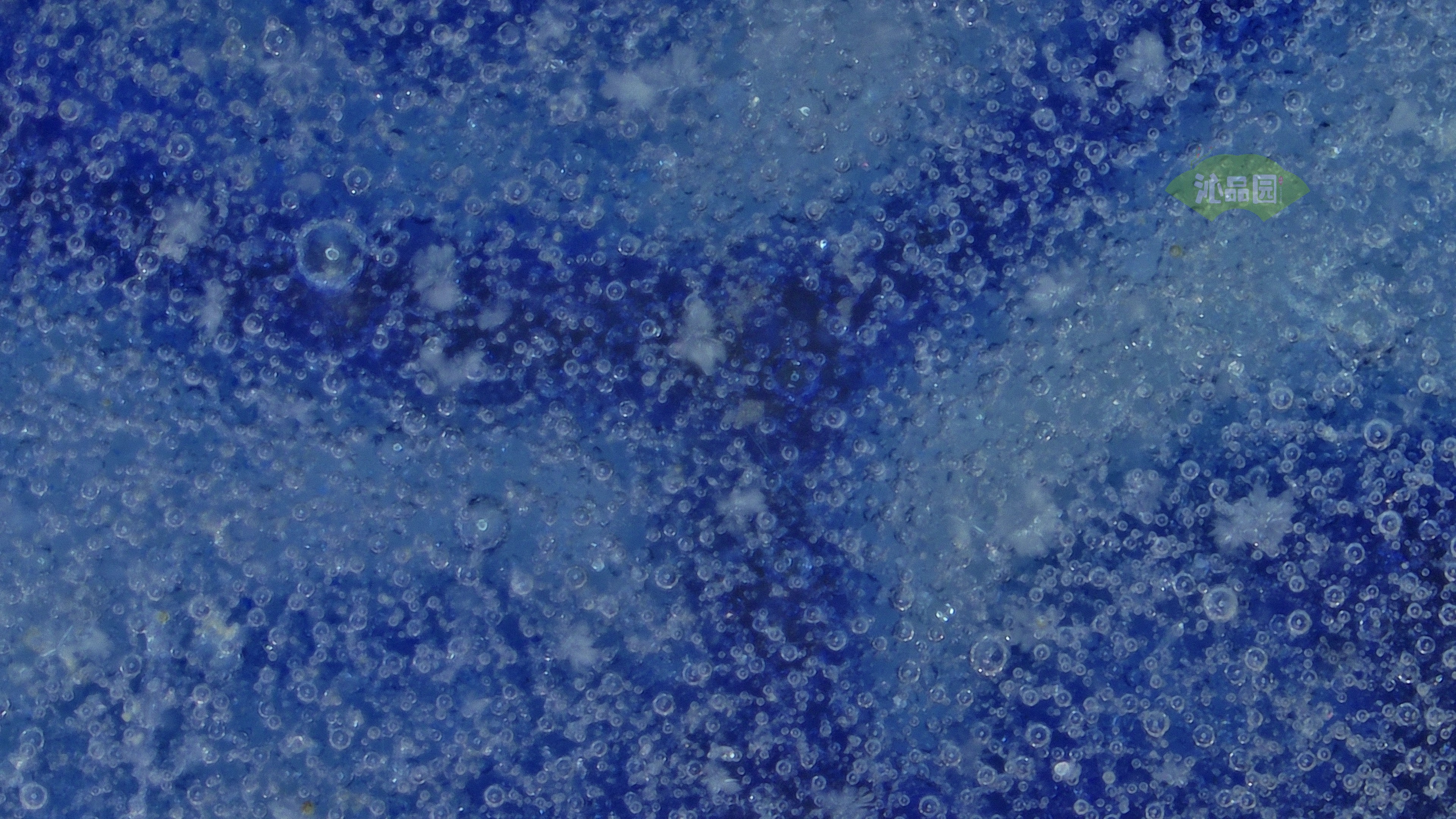 1020.jpg