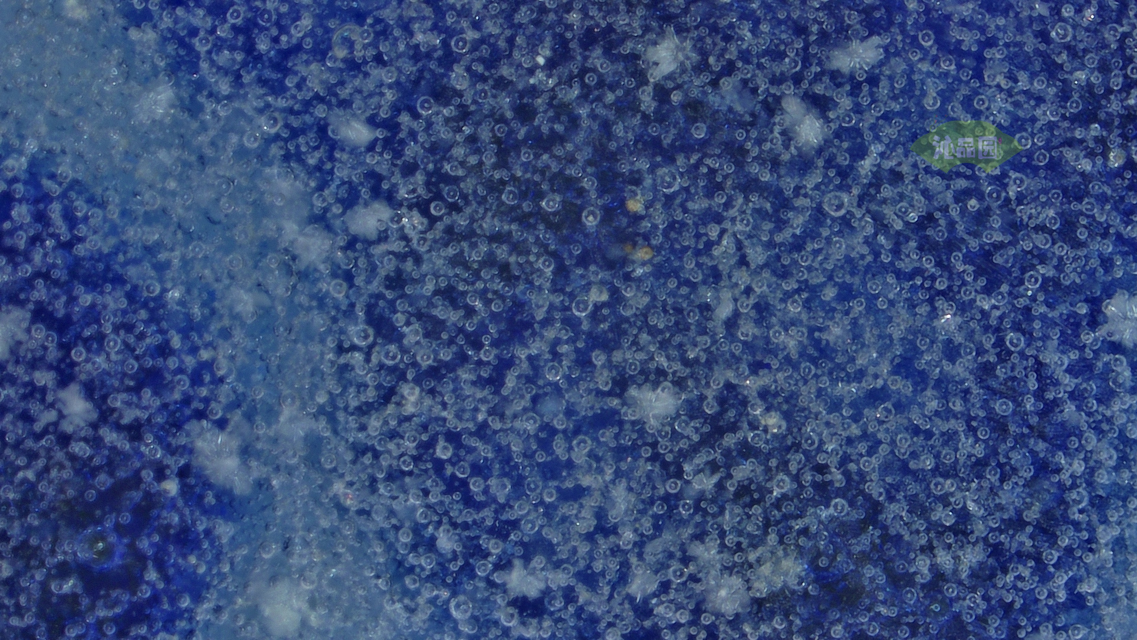 1024.jpg