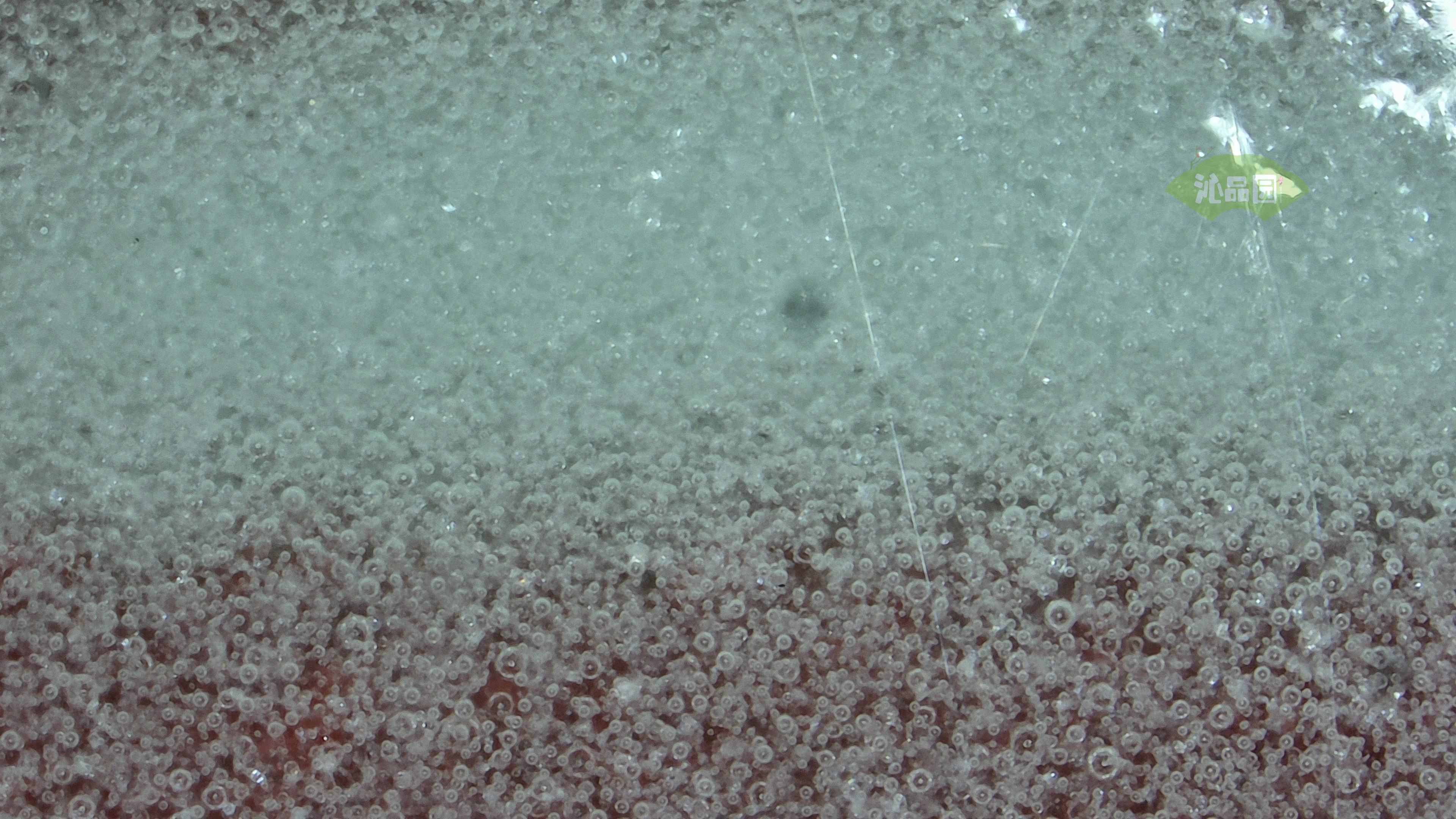 0505.jpg