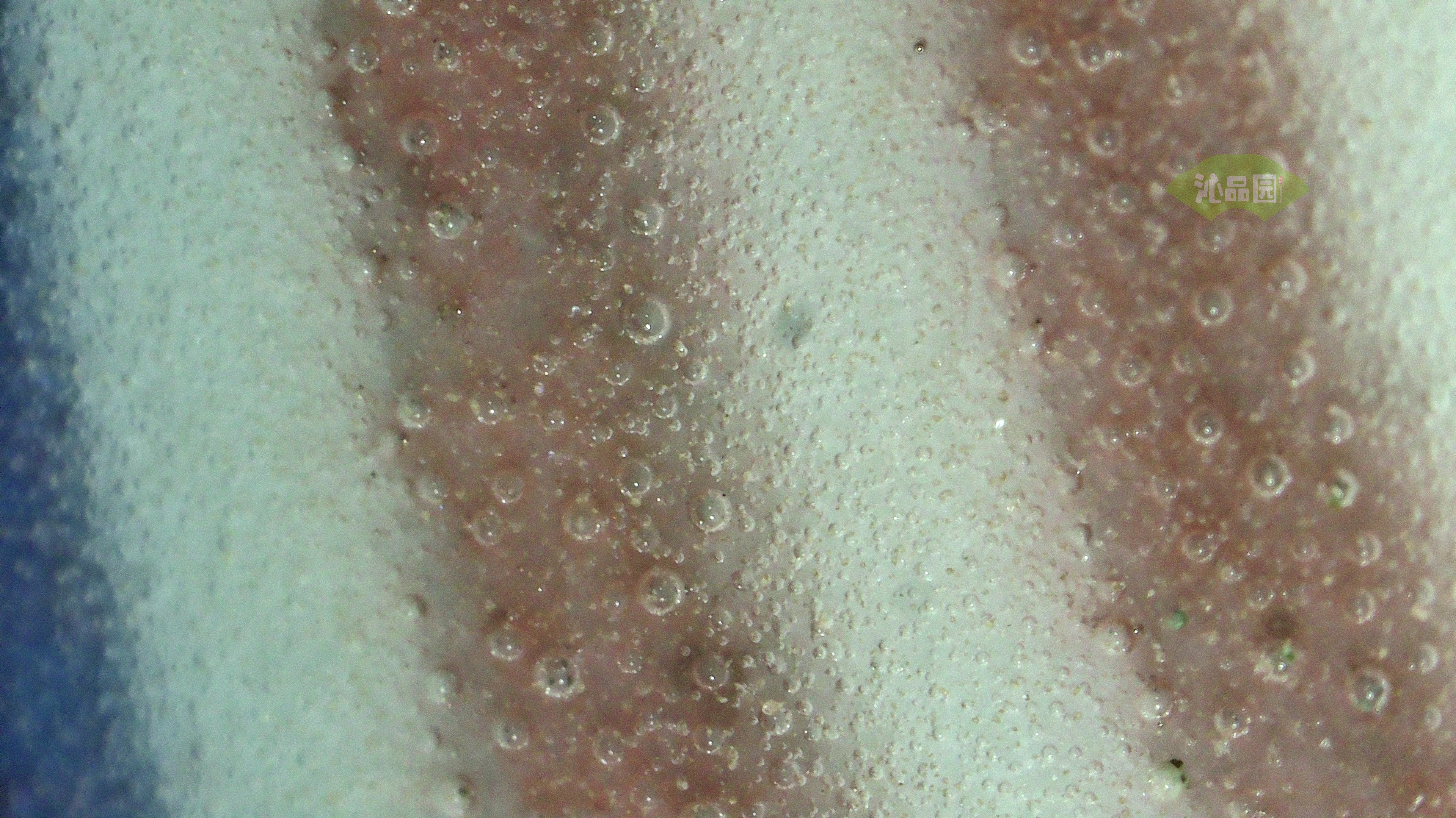 0460.jpg