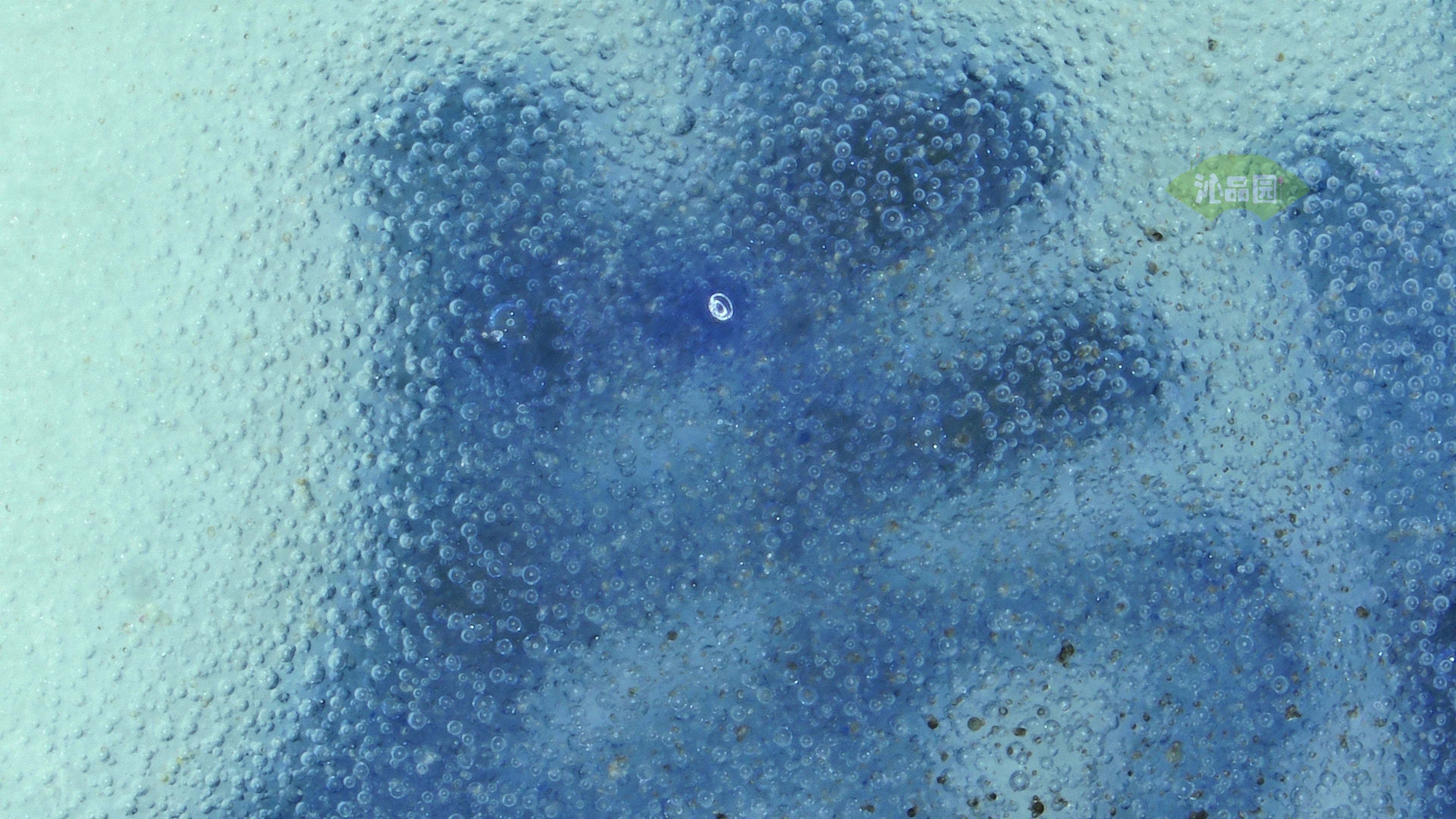 0490.jpg