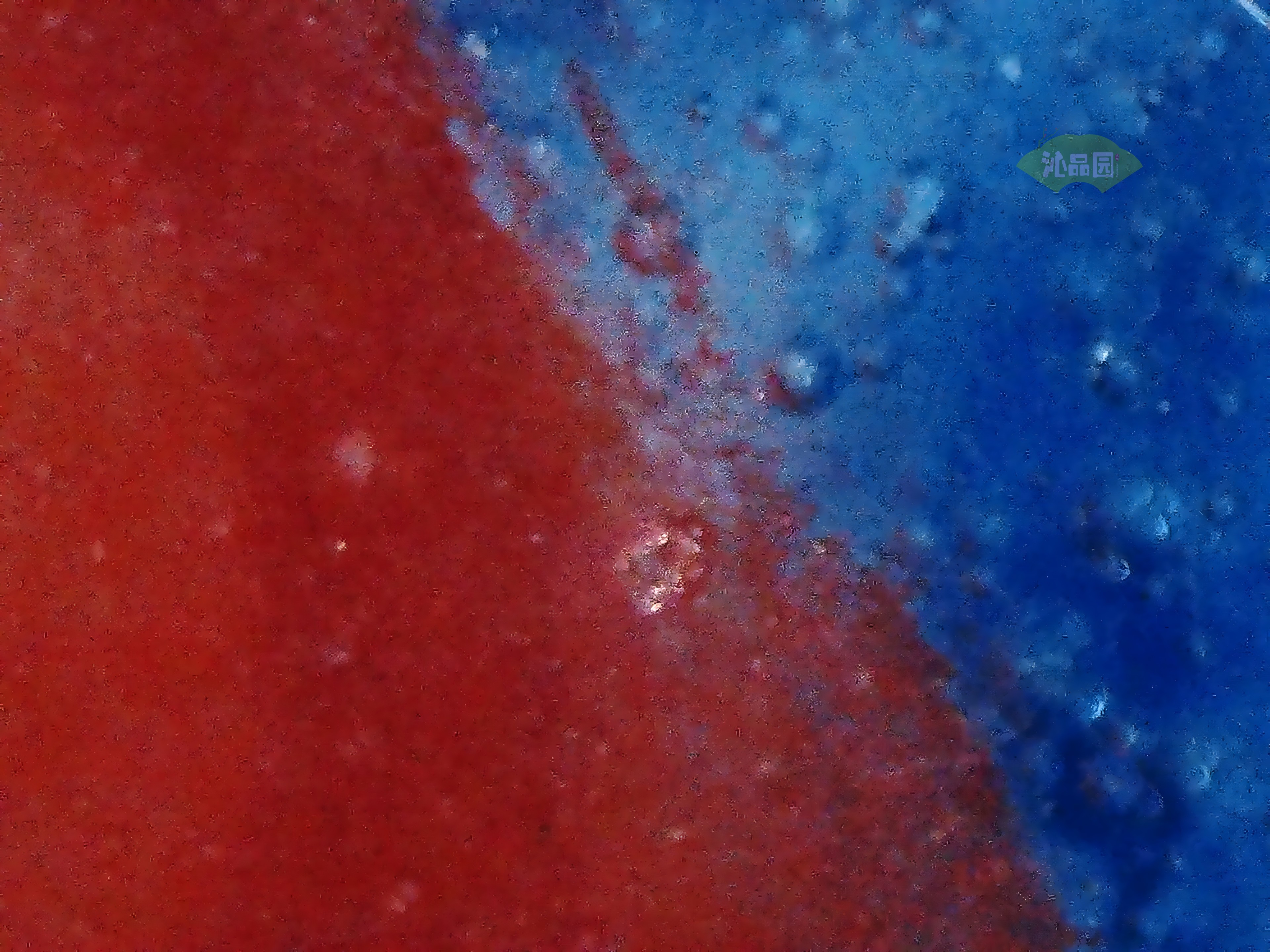 CHD00596.JPG