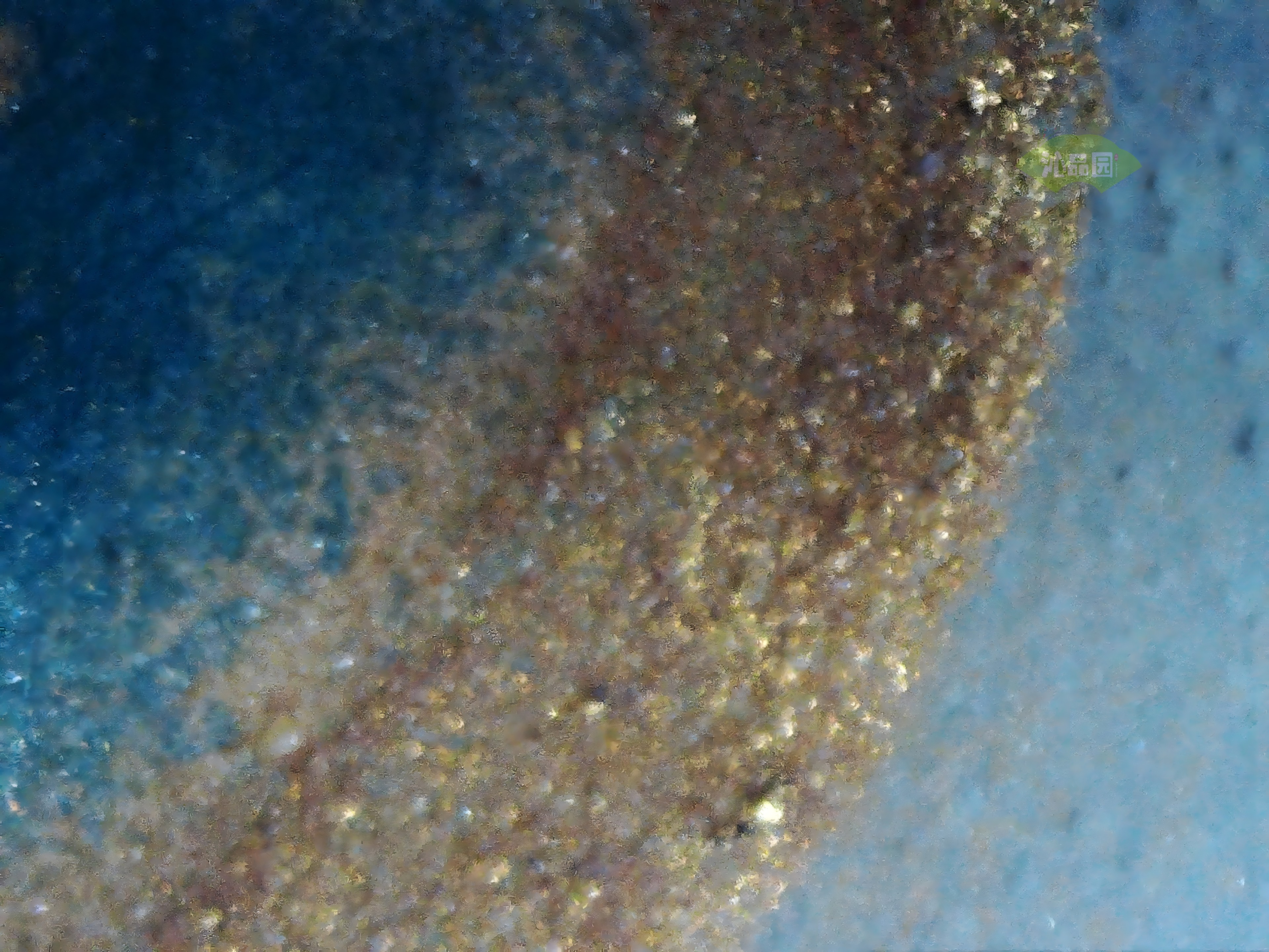 CHD00900.JPG
